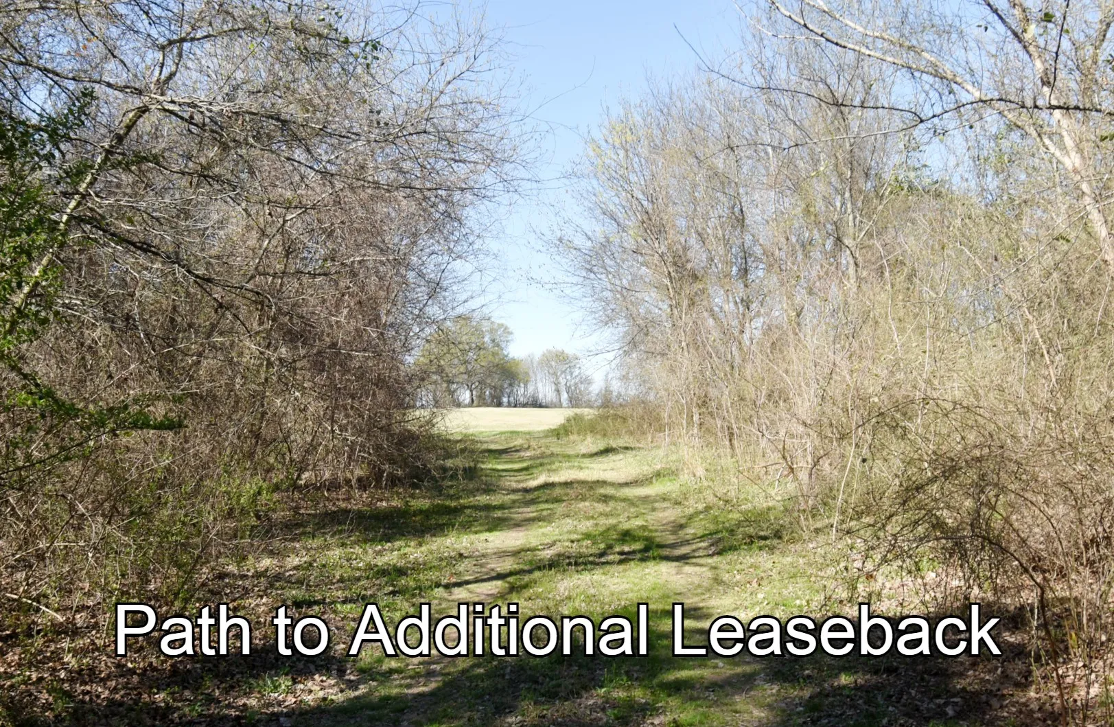 Unimproved Land For Sale in Rains County , 16.27 Acres FM 2946, Emory, Texas 75440, 0, 0, Garage spaces, 0 Sqft, built in 0, mls#20874381, Real Estate Agent in Emory, Homes For Sale in Rains county, Homes For Sale in Emory, Realtor in Emory Texas, Real Estate Brokerage Independent Realty Texas, Luminita Cordes Realtor