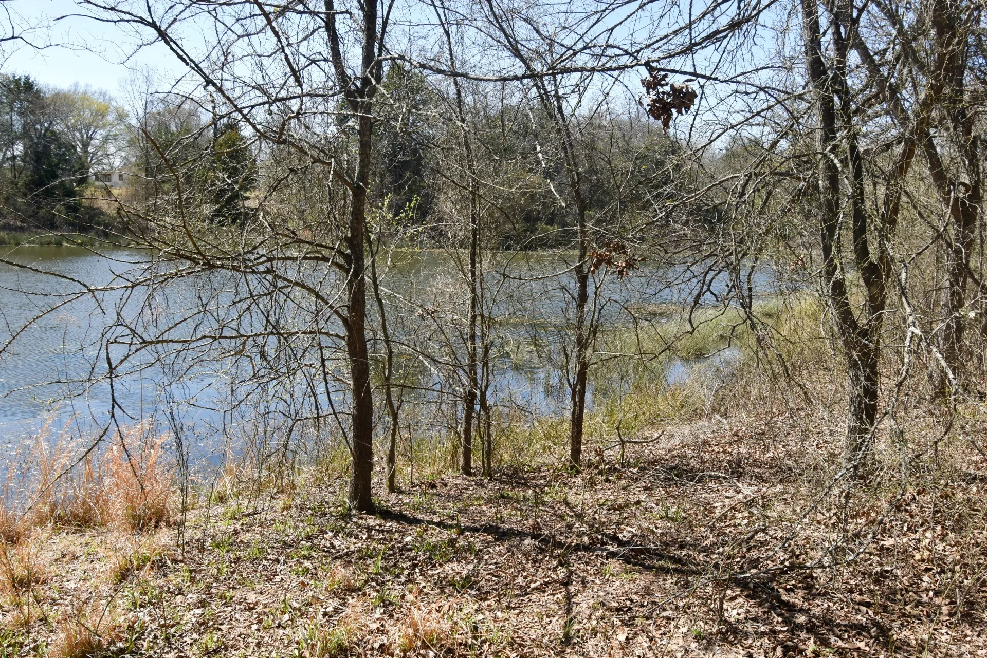 Unimproved Land For Sale in Rains County , 16.27 Acres FM 2946, Emory, Texas 75440, 0, 0, Garage spaces, 0 Sqft, built in 0, mls#20874381, Real Estate Agent in Emory, Homes For Sale in Rains county, Homes For Sale in Emory, Realtor in Emory Texas, Real Estate Brokerage Independent Realty Texas, Luminita Cordes Realtor
