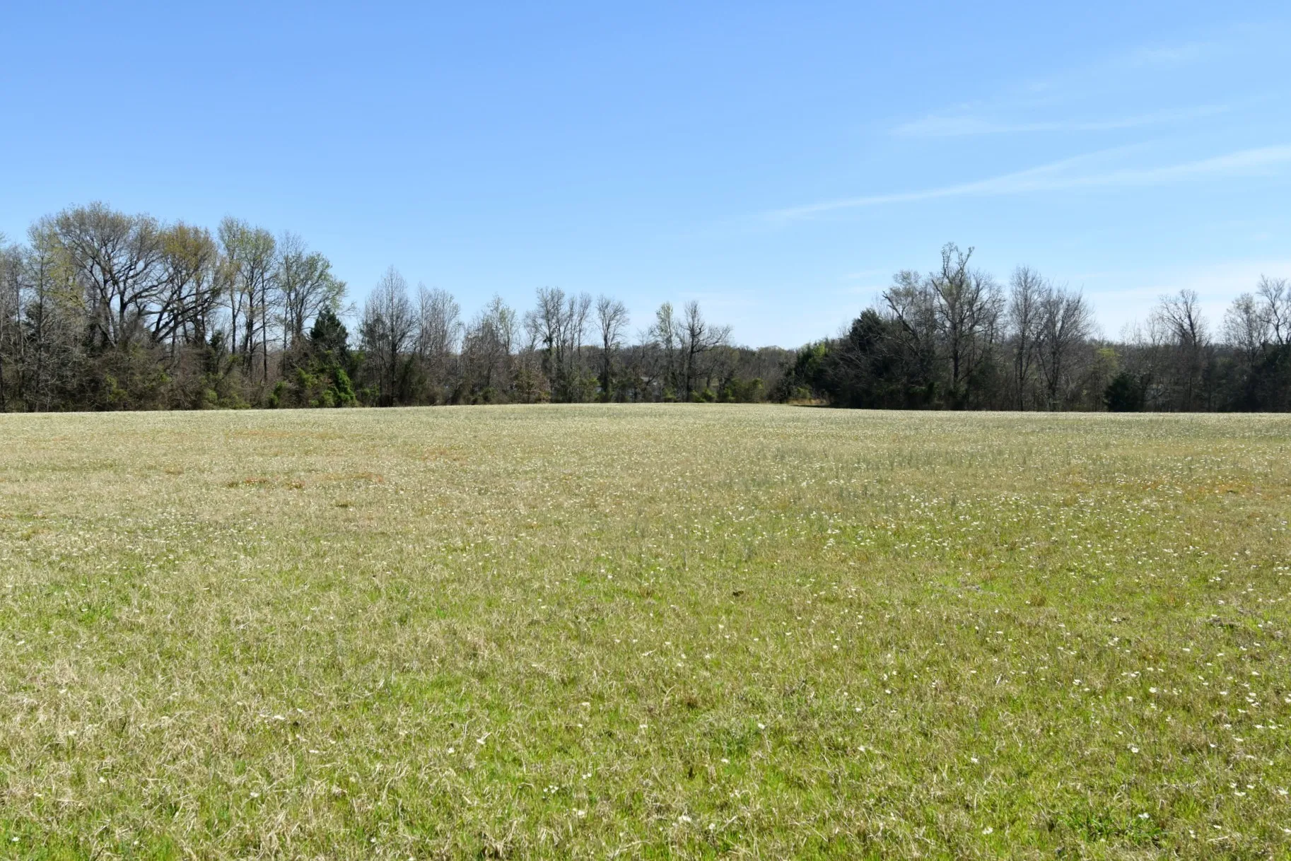 Unimproved Land For Sale in Rains County , 16.27 Acres FM 2946, Emory, Texas 75440, 0, 0, Garage spaces, 0 Sqft, built in 0, mls#20874381, Real Estate Agent in Emory, Homes For Sale in Rains county, Homes For Sale in Emory, Realtor in Emory Texas, Real Estate Brokerage Independent Realty Texas, Luminita Cordes Realtor