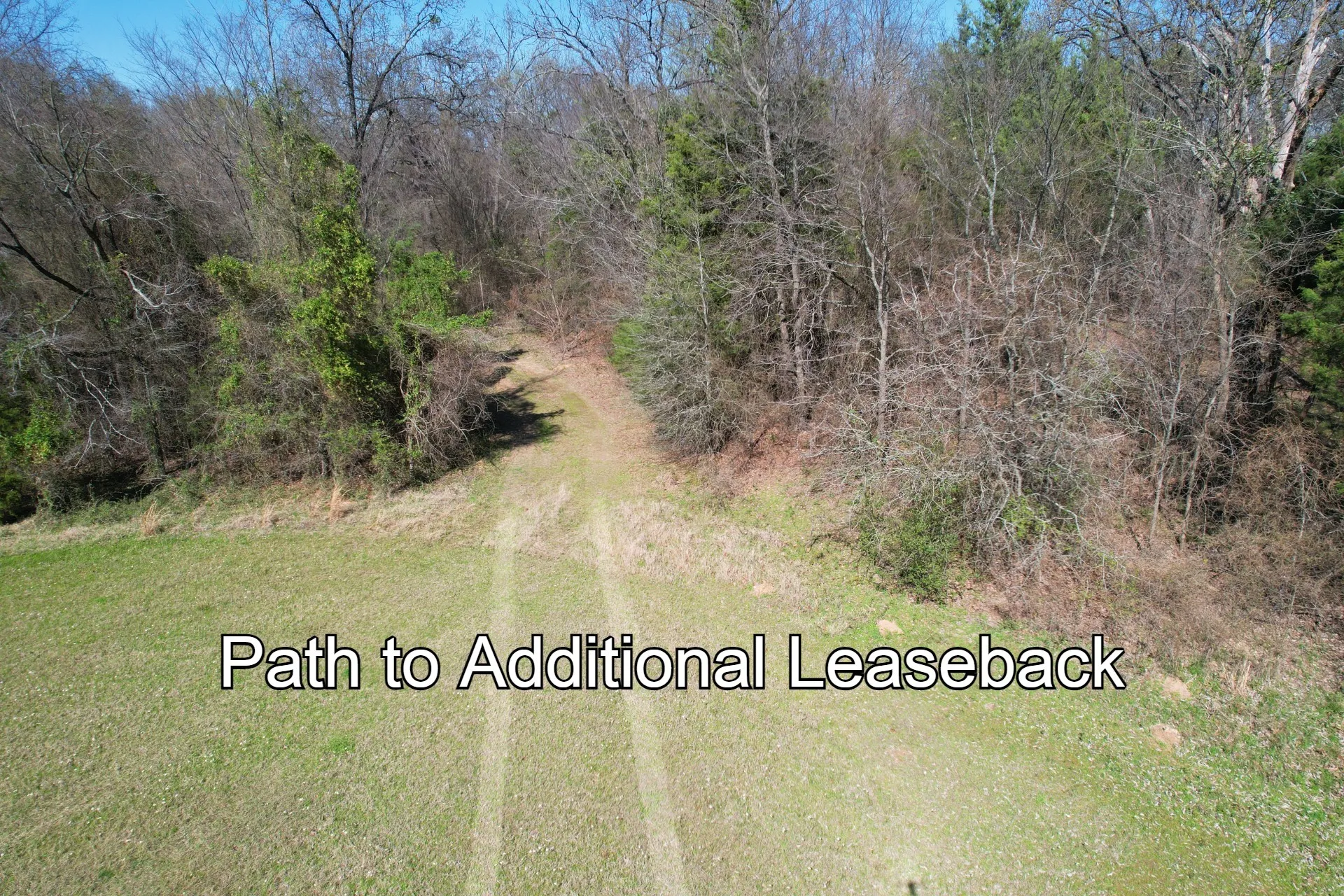 Unimproved Land For Sale in Rains County , 16.27 Acres FM 2946, Emory, Texas 75440, 0, 0, Garage spaces, 0 Sqft, built in 0, mls#20874381, Real Estate Agent in Emory, Homes For Sale in Rains county, Homes For Sale in Emory, Realtor in Emory Texas, Real Estate Brokerage Independent Realty Texas, Luminita Cordes Realtor
