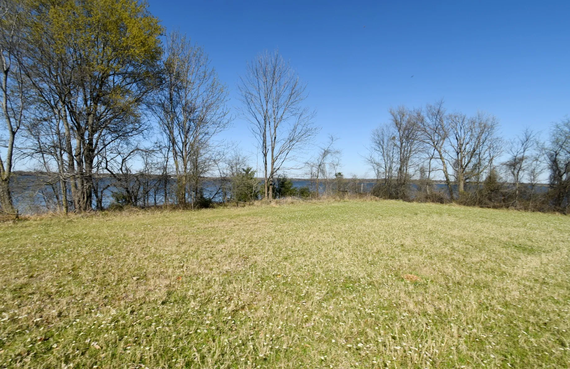 Unimproved Land For Sale in Rains County , 16.27 Acres FM 2946, Emory, Texas 75440, 0, 0, Garage spaces, 0 Sqft, built in 0, mls#20874381, Real Estate Agent in Emory, Homes For Sale in Rains county, Homes For Sale in Emory, Realtor in Emory Texas, Real Estate Brokerage Independent Realty Texas, Luminita Cordes Realtor