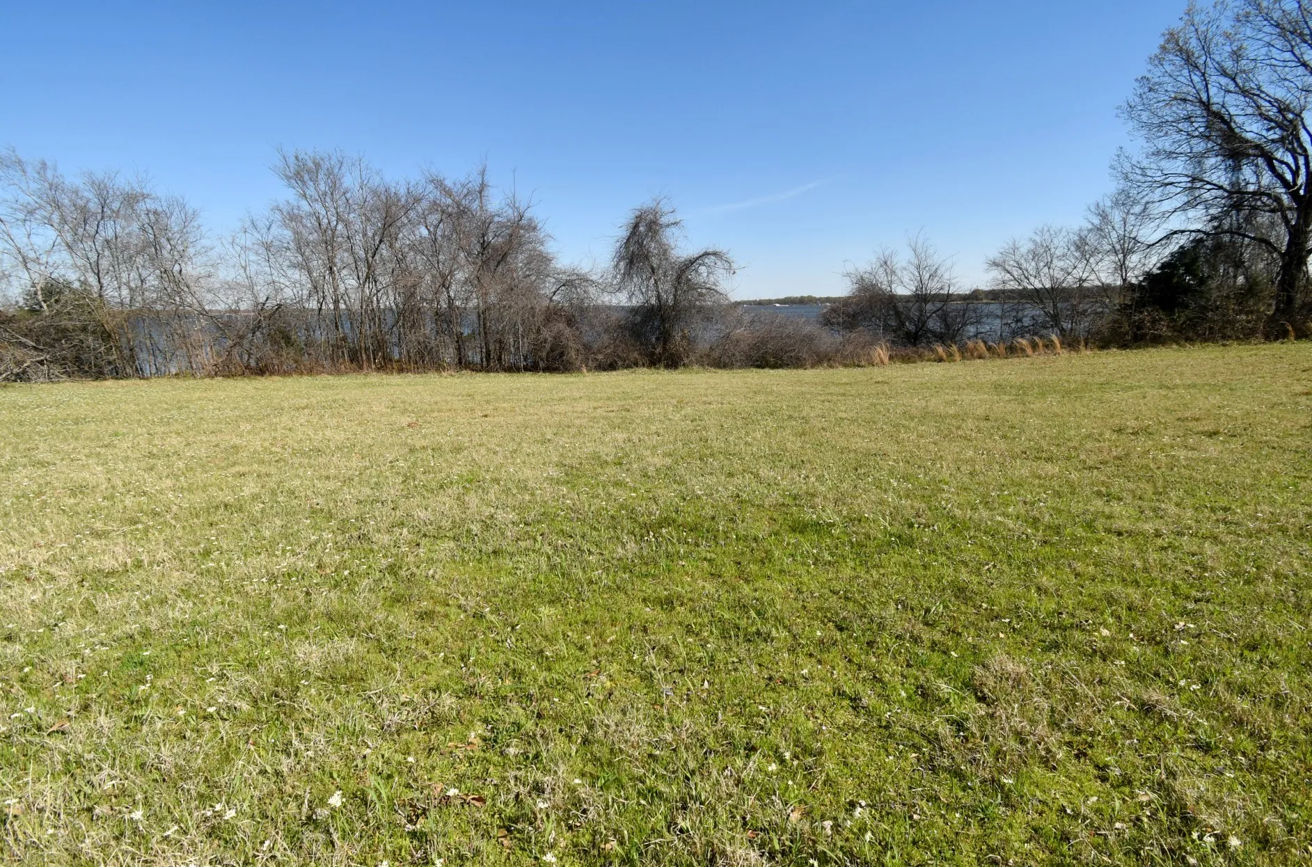 Unimproved Land For Sale in Rains County , 16.27 Acres FM 2946, Emory, Texas 75440, 0, 0, Garage spaces, 0 Sqft, built in 0, mls#20874381, Real Estate Agent in Emory, Homes For Sale in Rains county, Homes For Sale in Emory, Realtor in Emory Texas, Real Estate Brokerage Independent Realty Texas, Luminita Cordes Realtor