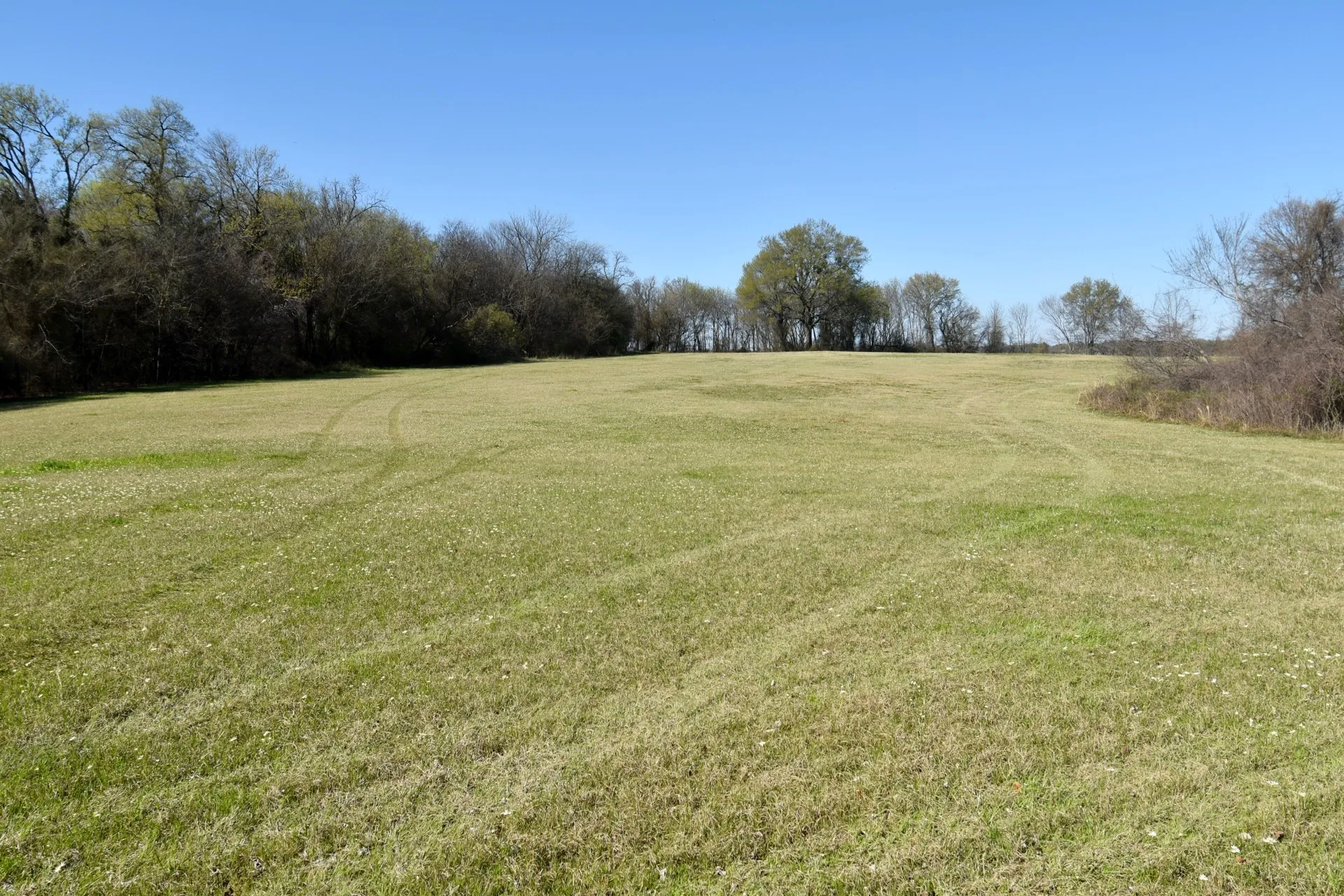 Unimproved Land For Sale in Rains County , 16.27 Acres FM 2946, Emory, Texas 75440, 0, 0, Garage spaces, 0 Sqft, built in 0, mls#20874381, Real Estate Agent in Emory, Homes For Sale in Rains county, Homes For Sale in Emory, Realtor in Emory Texas, Real Estate Brokerage Independent Realty Texas, Luminita Cordes Realtor