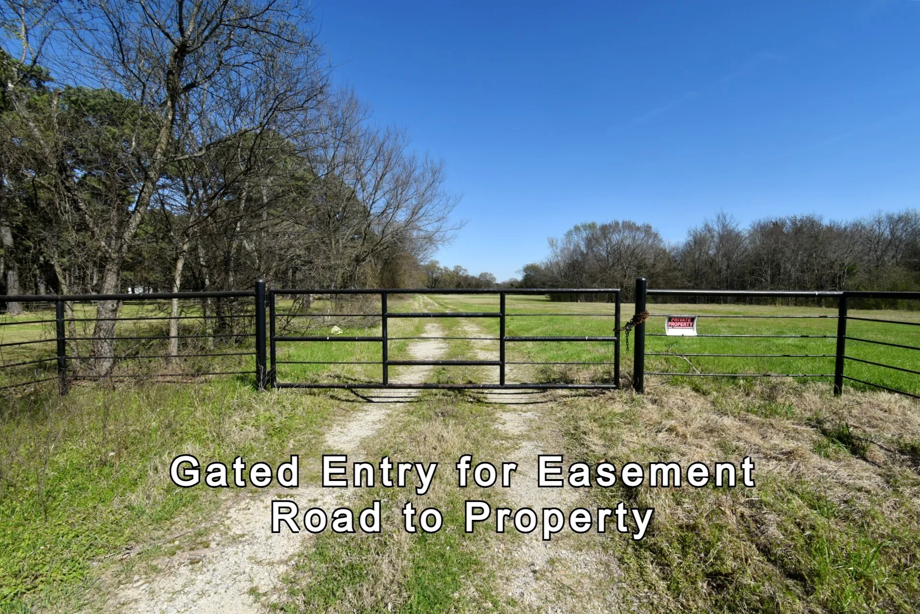 Unimproved Land For Sale in Rains County , 16.27 Acres FM 2946, Emory, Texas 75440, 0, 0, Garage spaces, 0 Sqft, built in 0, mls#20874381, Real Estate Agent in Emory, Homes For Sale in Rains county, Homes For Sale in Emory, Realtor in Emory Texas, Real Estate Brokerage Independent Realty Texas, Luminita Cordes Realtor