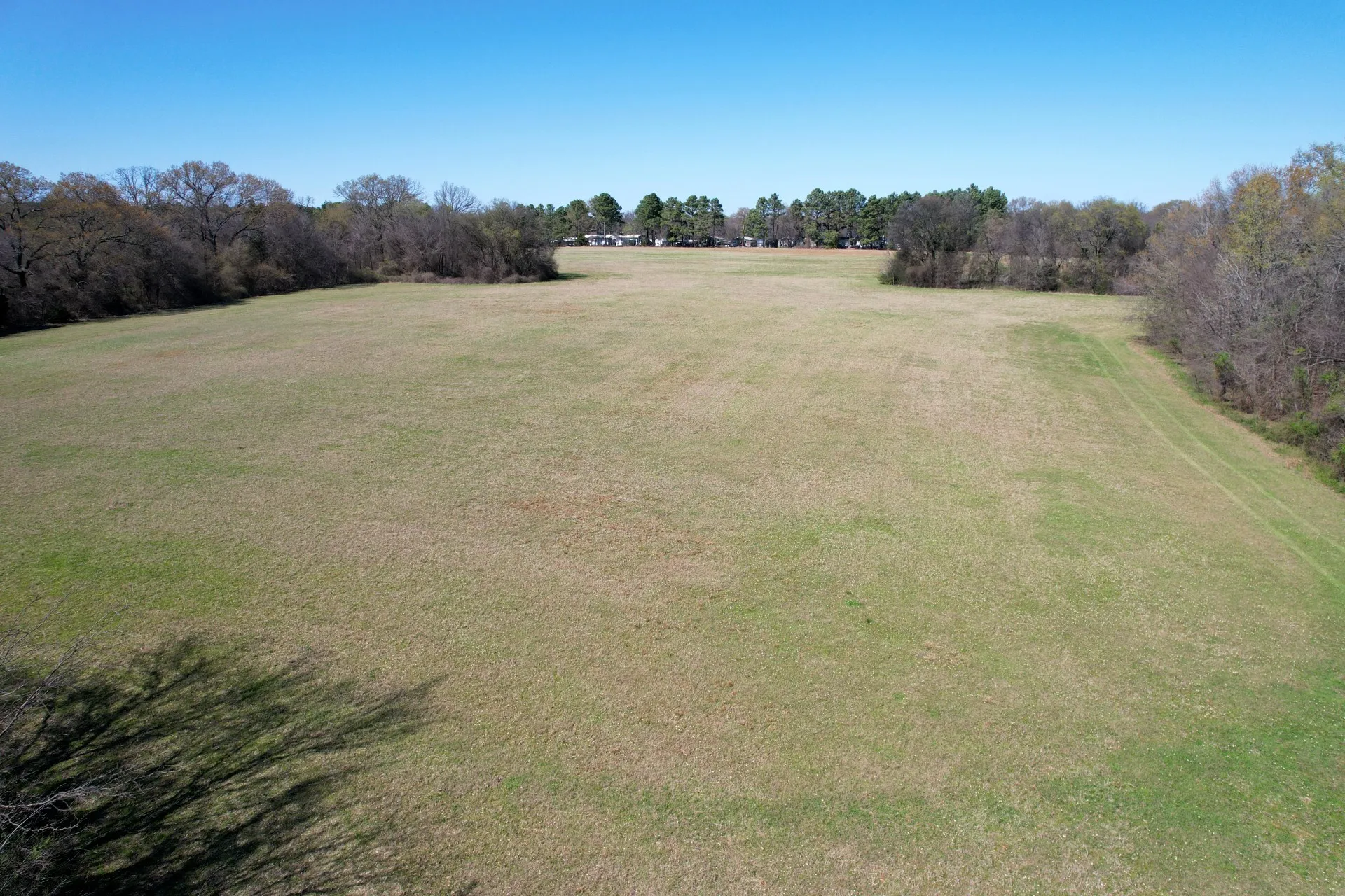 Unimproved Land For Sale in Rains County , 16.27 Acres FM 2946, Emory, Texas 75440, 0, 0, Garage spaces, 0 Sqft, built in 0, mls#20874381, Real Estate Agent in Emory, Homes For Sale in Rains county, Homes For Sale in Emory, Realtor in Emory Texas, Real Estate Brokerage Independent Realty Texas, Luminita Cordes Realtor