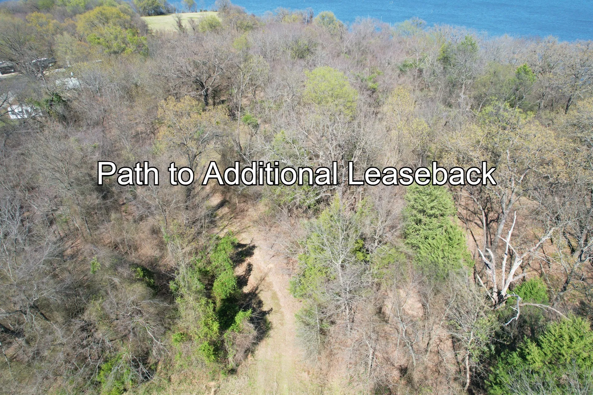 Unimproved Land For Sale in Rains County , 16.27 Acres FM 2946, Emory, Texas 75440, 0, 0, Garage spaces, 0 Sqft, built in 0, mls#20874381, Real Estate Agent in Emory, Homes For Sale in Rains county, Homes For Sale in Emory, Realtor in Emory Texas, Real Estate Brokerage Independent Realty Texas, Luminita Cordes Realtor