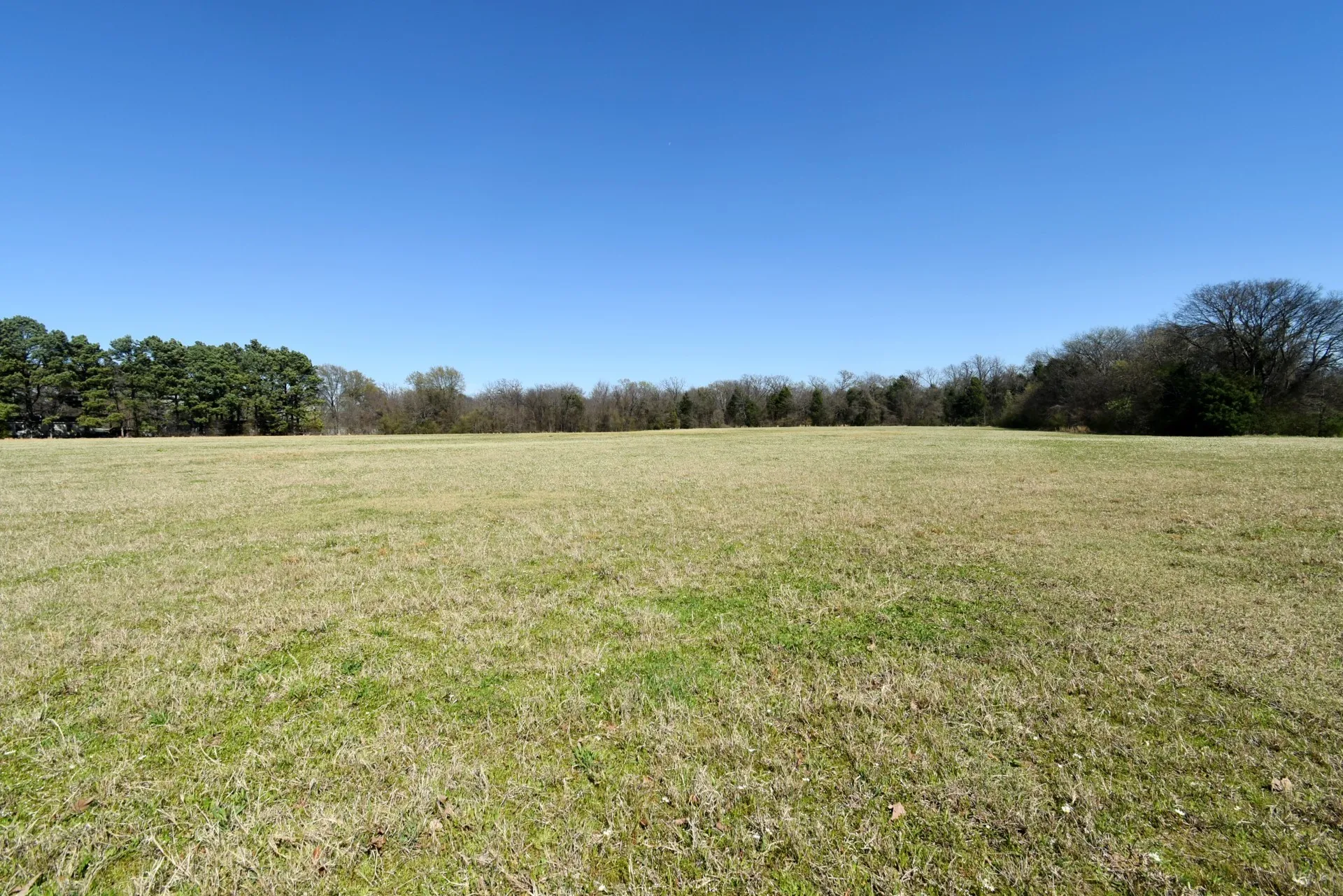 Unimproved Land For Sale in Rains County , 16.27 Acres FM 2946, Emory, Texas 75440, 0, 0, Garage spaces, 0 Sqft, built in 0, mls#20874381, Real Estate Agent in Emory, Homes For Sale in Rains county, Homes For Sale in Emory, Realtor in Emory Texas, Real Estate Brokerage Independent Realty Texas, Luminita Cordes Realtor