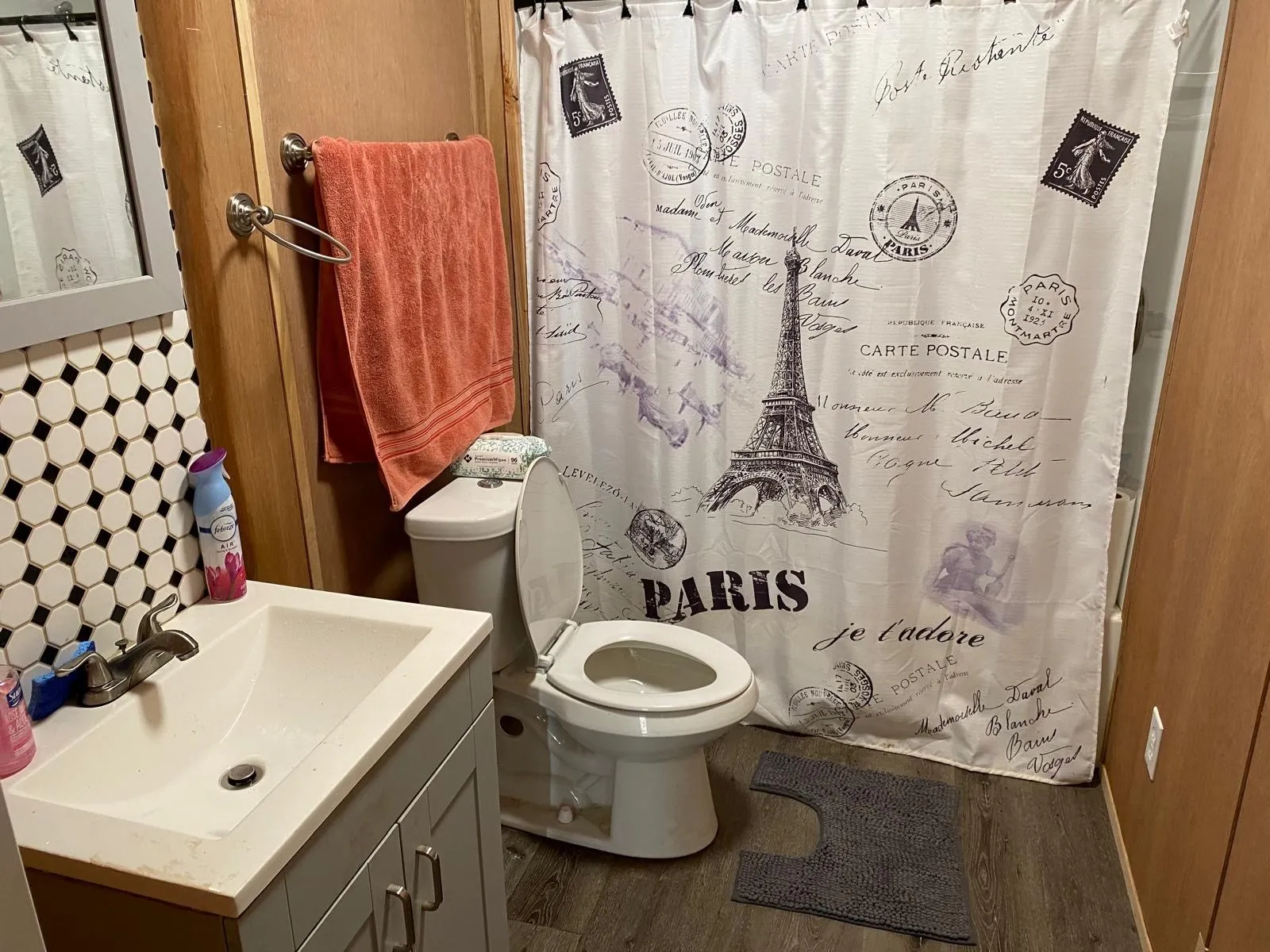 Full bathroom featuring wood finished floors, vanity, and a shower with curtain