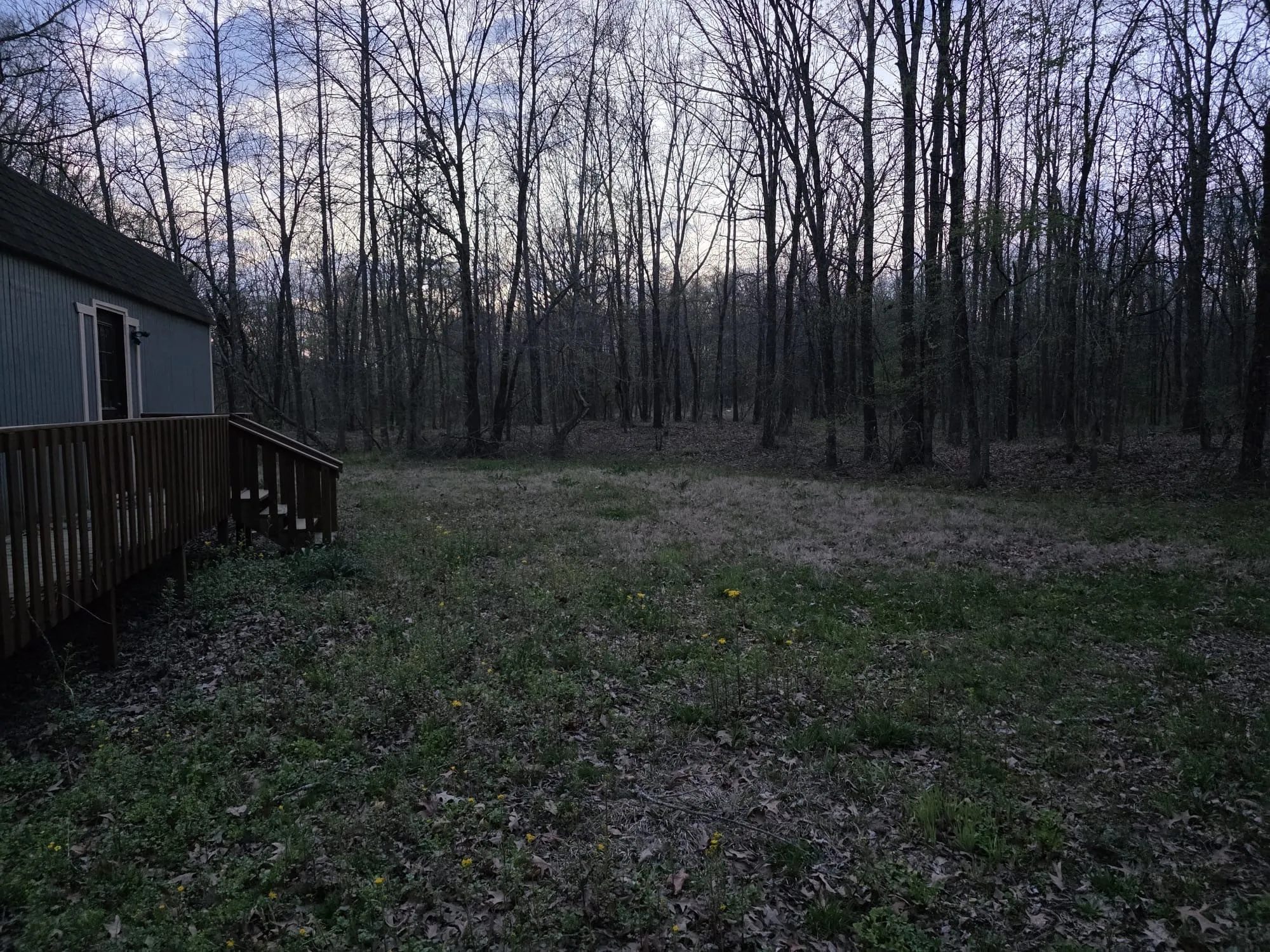 View of yard with a deck and a view of trees