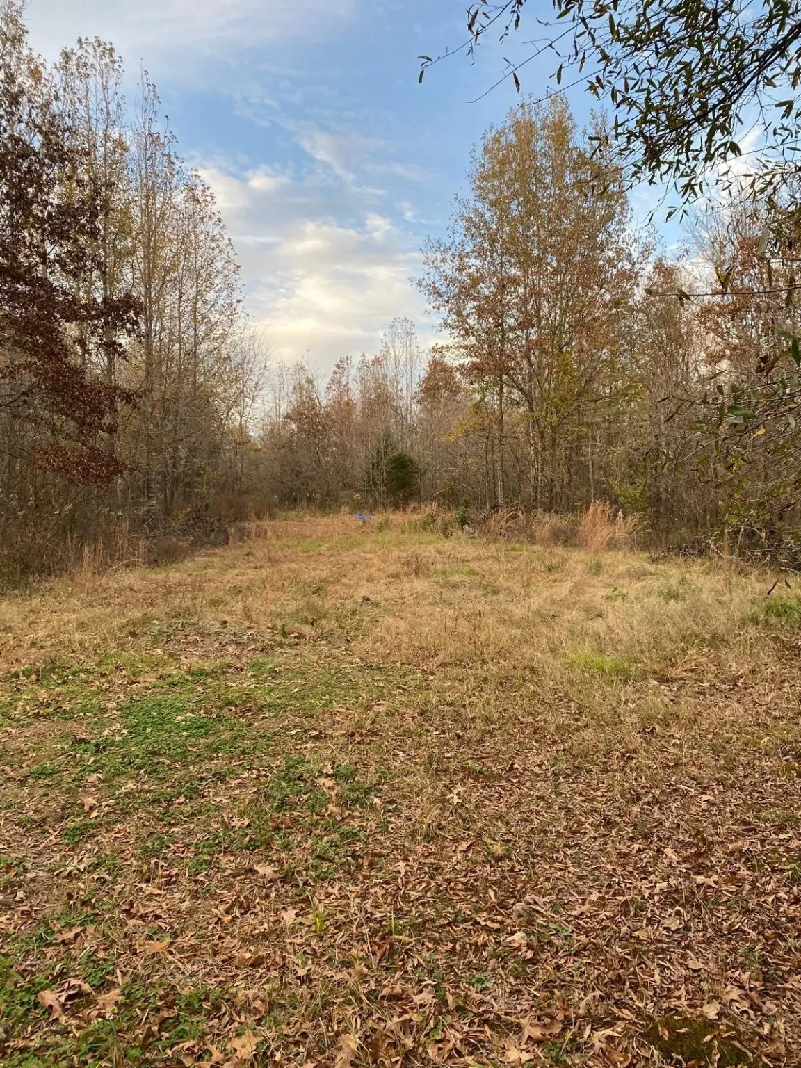 View of nature