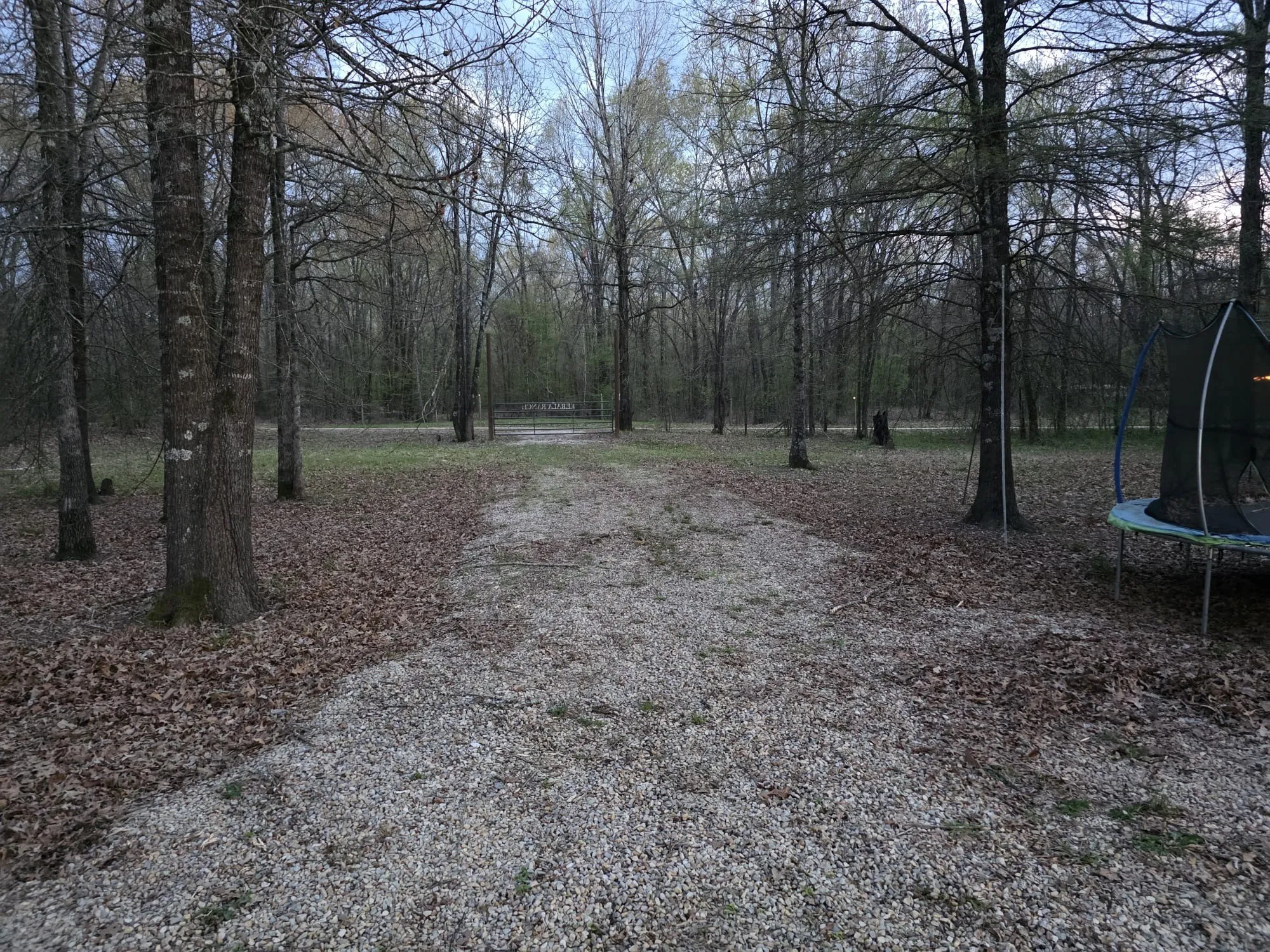 View of road with a view of trees