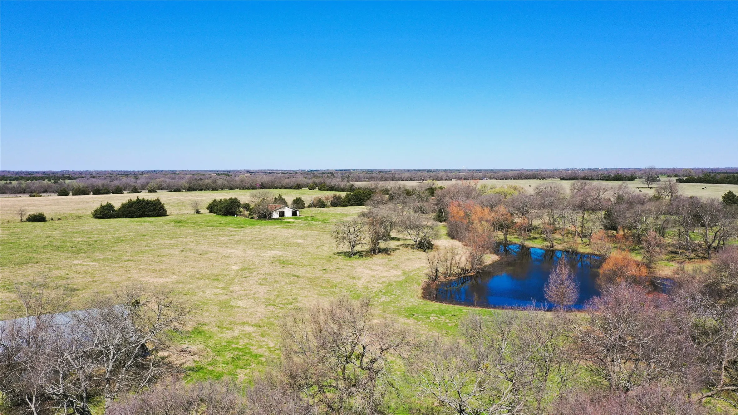 Improved Land For Sale in Fannin County , TBD County Road 4930, Leonard, Texas 75452, 0, 0, Garage spaces, 0 Sqft, built in 0, mls#20876911, Real Estate Agent in Leonard, Homes For Sale in Fannin county, Homes For Sale in Leonard, Realtor in Leonard Texas, Real Estate Brokerage Independent Realty Texas, Luminita Cordes Realtor