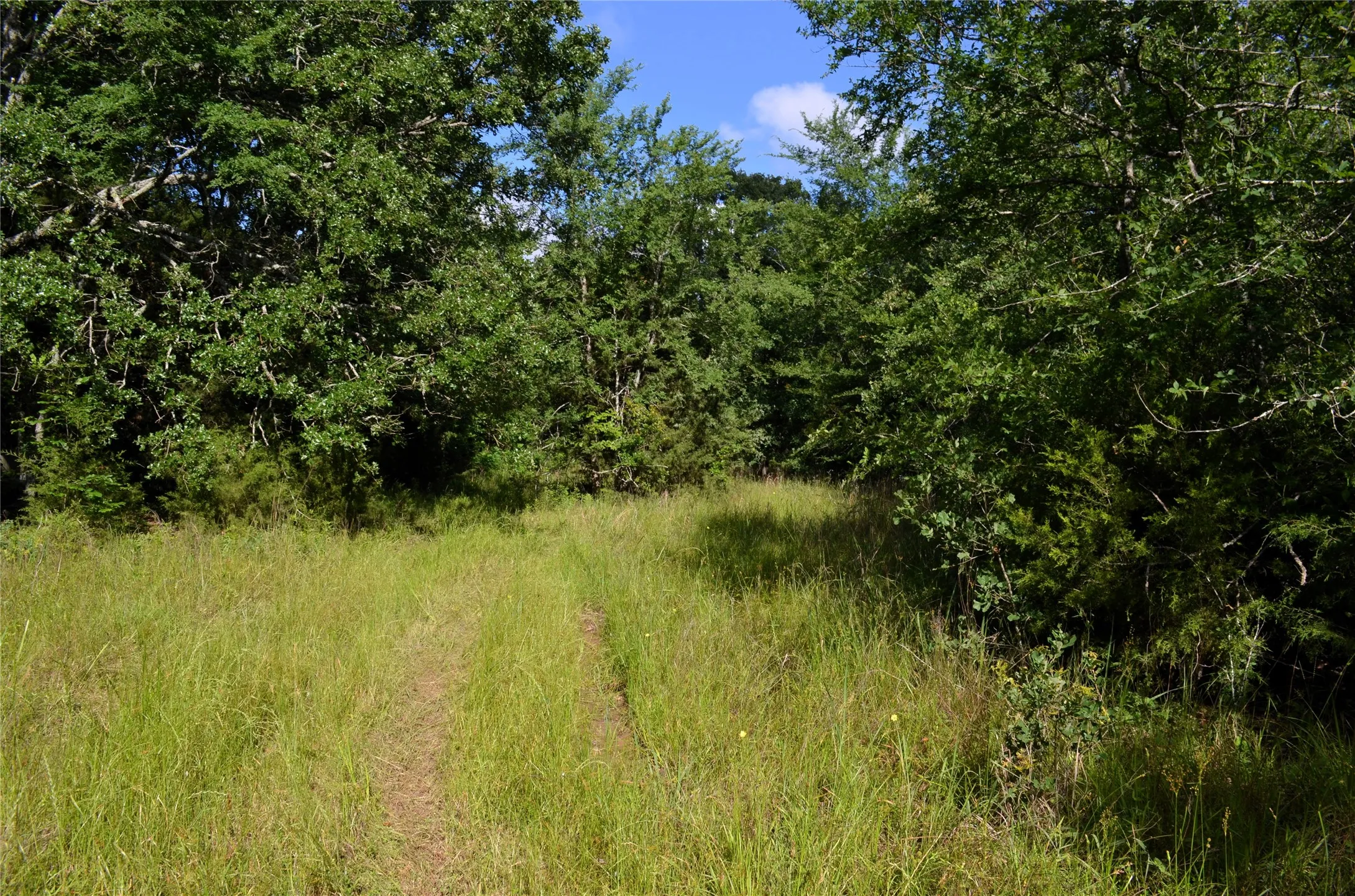 Unimproved Land For Sale in Van Zandt County , 760 VZ County Road 2315, Eustace, Texas 75124, 0, 0, Garage spaces, 0 Sqft, built in 0, mls#20878384, Real Estate Agent in Eustace, Homes For Sale in Van Zandt county, Homes For Sale in Eustace, Realtor in Eustace Texas, Real Estate Brokerage Independent Realty Texas, Luminita Cordes Realtor