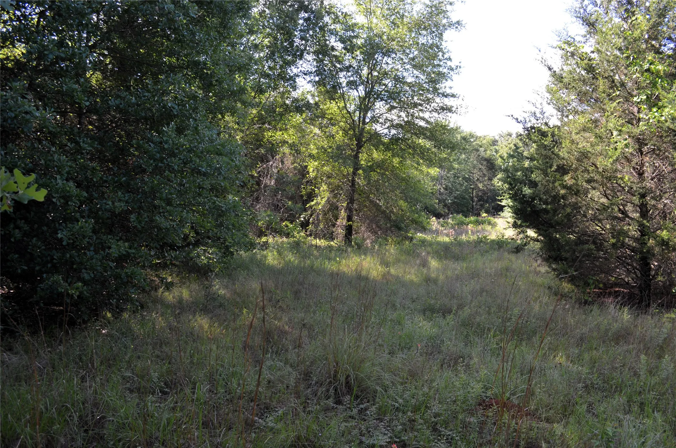 Unimproved Land For Sale in Van Zandt County , 760 VZ County Road 2315, Eustace, Texas 75124, 0, 0, Garage spaces, 0 Sqft, built in 0, mls#20878384, Real Estate Agent in Eustace, Homes For Sale in Van Zandt county, Homes For Sale in Eustace, Realtor in Eustace Texas, Real Estate Brokerage Independent Realty Texas, Luminita Cordes Realtor