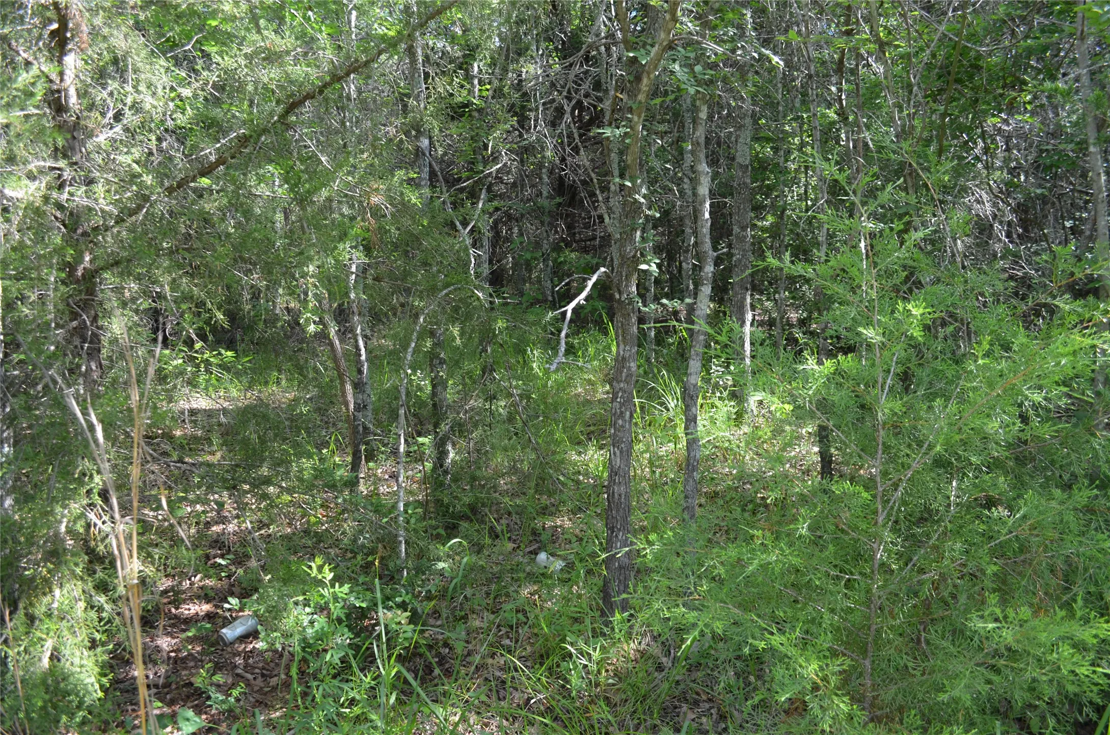 Unimproved Land For Sale in Van Zandt County , 760 VZ County Road 2315, Eustace, Texas 75124, 0, 0, Garage spaces, 0 Sqft, built in 0, mls#20878384, Real Estate Agent in Eustace, Homes For Sale in Van Zandt county, Homes For Sale in Eustace, Realtor in Eustace Texas, Real Estate Brokerage Independent Realty Texas, Luminita Cordes Realtor