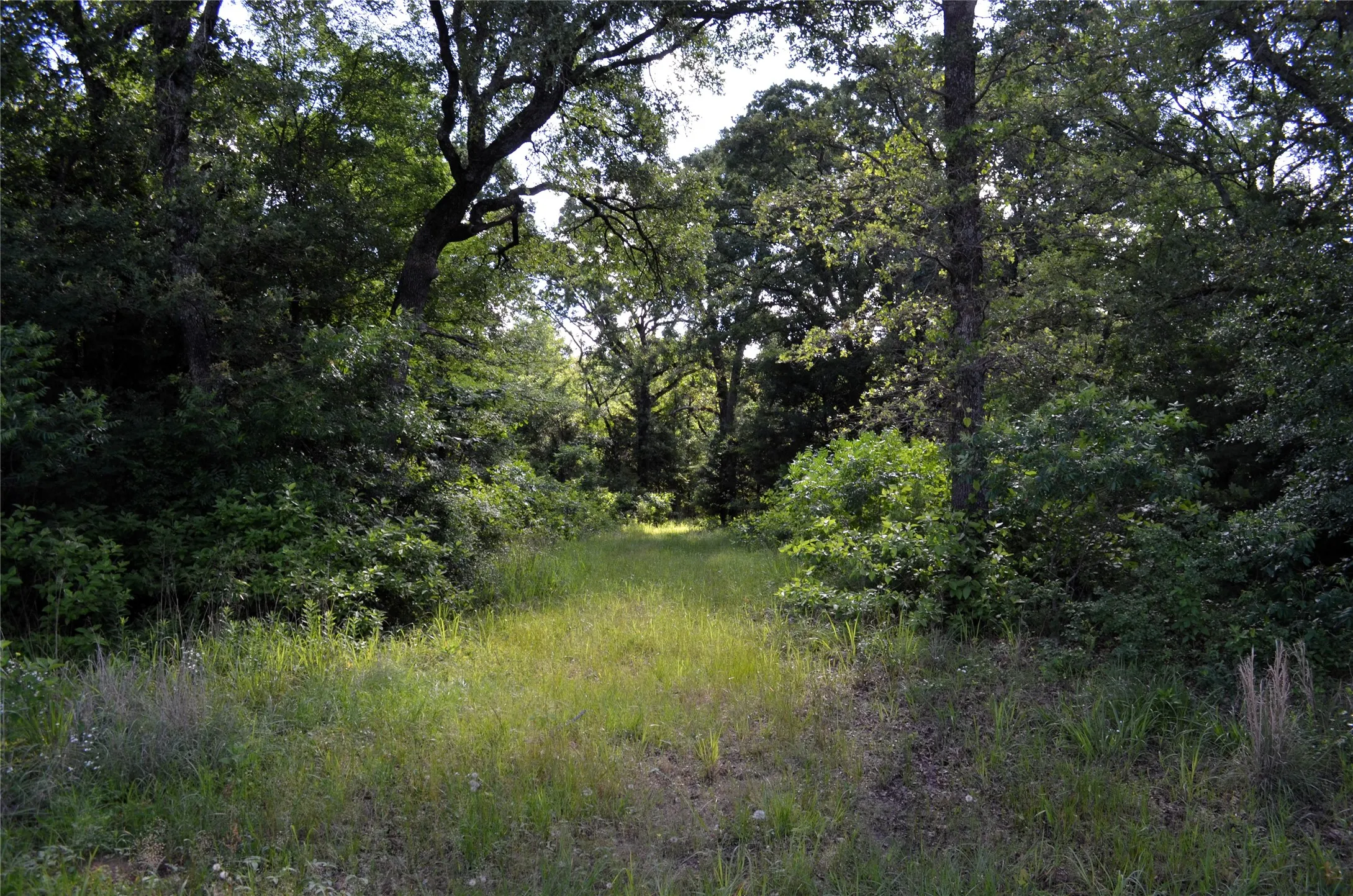 Unimproved Land For Sale in Van Zandt County , 760 VZ County Road 2315, Eustace, Texas 75124, 0, 0, Garage spaces, 0 Sqft, built in 0, mls#20878384, Real Estate Agent in Eustace, Homes For Sale in Van Zandt county, Homes For Sale in Eustace, Realtor in Eustace Texas, Real Estate Brokerage Independent Realty Texas, Luminita Cordes Realtor