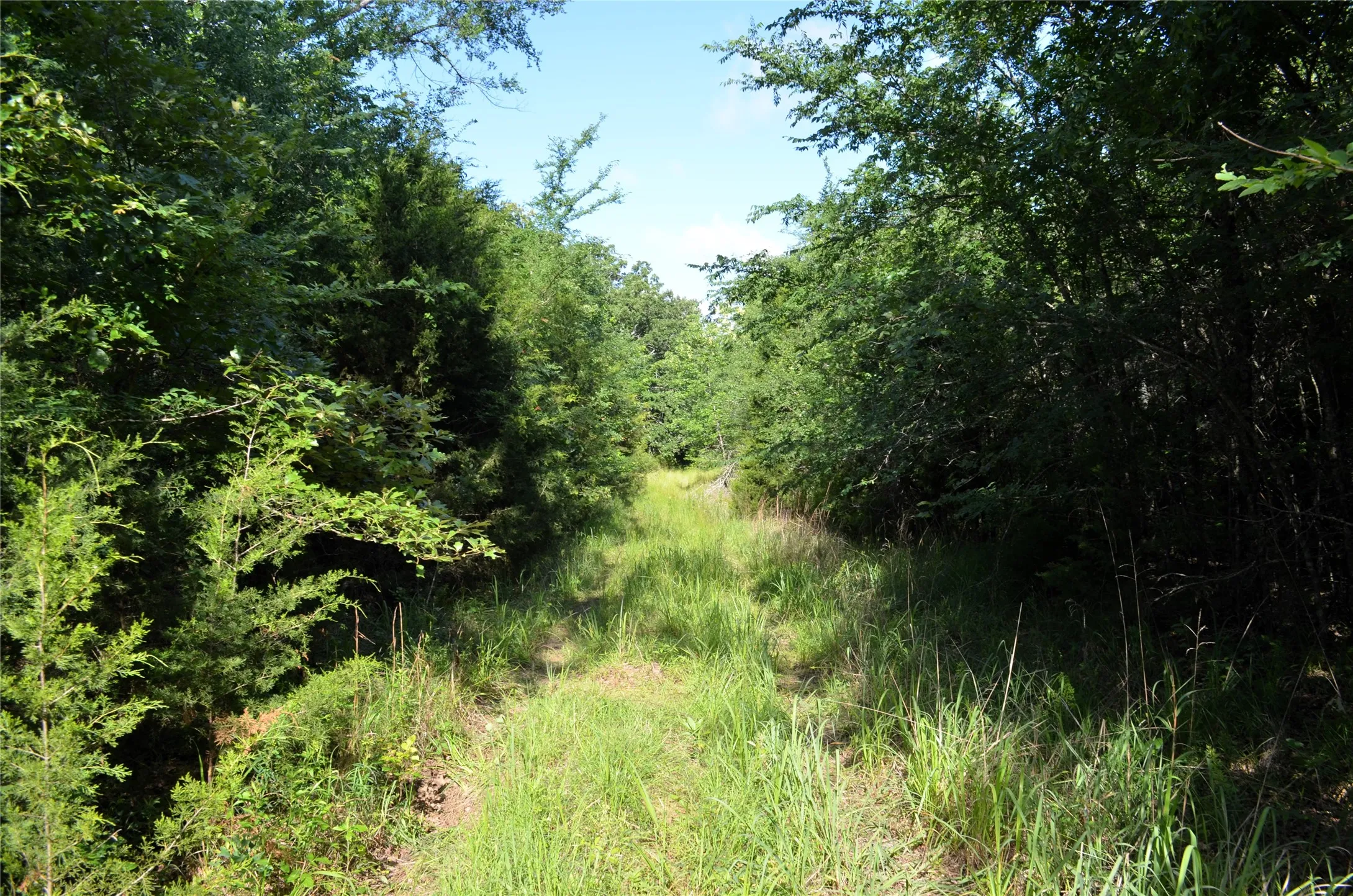 Unimproved Land For Sale in Van Zandt County , 760 VZ County Road 2315, Eustace, Texas 75124, 0, 0, Garage spaces, 0 Sqft, built in 0, mls#20878384, Real Estate Agent in Eustace, Homes For Sale in Van Zandt county, Homes For Sale in Eustace, Realtor in Eustace Texas, Real Estate Brokerage Independent Realty Texas, Luminita Cordes Realtor