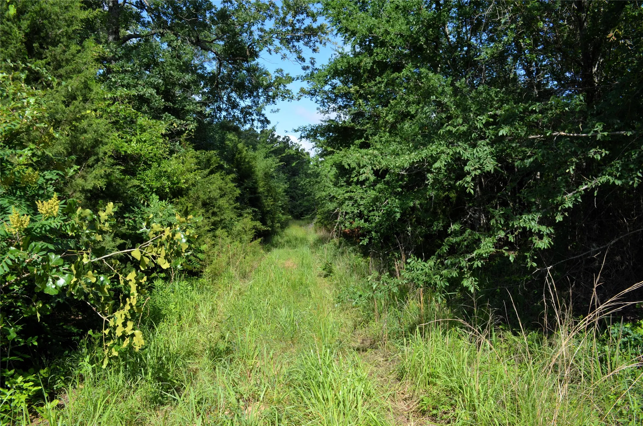 Unimproved Land For Sale in Van Zandt County , 760 VZ County Road 2315, Eustace, Texas 75124, 0, 0, Garage spaces, 0 Sqft, built in 0, mls#20878384, Real Estate Agent in Eustace, Homes For Sale in Van Zandt county, Homes For Sale in Eustace, Realtor in Eustace Texas, Real Estate Brokerage Independent Realty Texas, Luminita Cordes Realtor