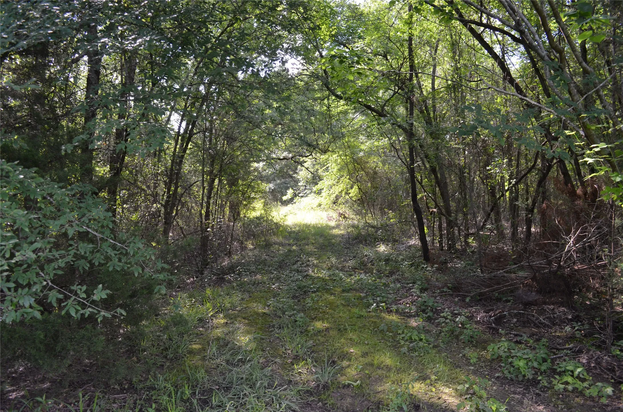Unimproved Land For Sale in Van Zandt County , 760 VZ County Road 2315, Eustace, Texas 75124, 0, 0, Garage spaces, 0 Sqft, built in 0, mls#20878384, Real Estate Agent in Eustace, Homes For Sale in Van Zandt county, Homes For Sale in Eustace, Realtor in Eustace Texas, Real Estate Brokerage Independent Realty Texas, Luminita Cordes Realtor