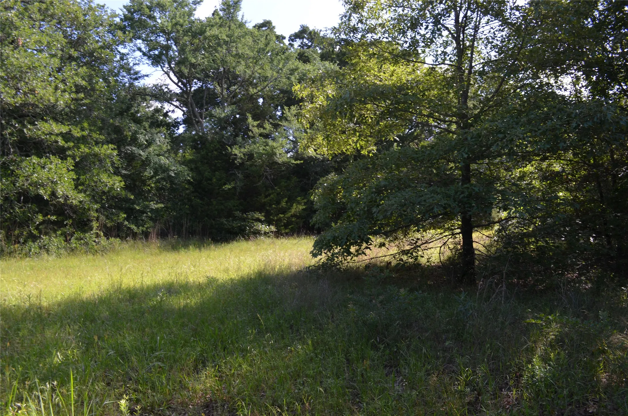 Unimproved Land For Sale in Van Zandt County , 760 VZ County Road 2315, Eustace, Texas 75124, 0, 0, Garage spaces, 0 Sqft, built in 0, mls#20878384, Real Estate Agent in Eustace, Homes For Sale in Van Zandt county, Homes For Sale in Eustace, Realtor in Eustace Texas, Real Estate Brokerage Independent Realty Texas, Luminita Cordes Realtor