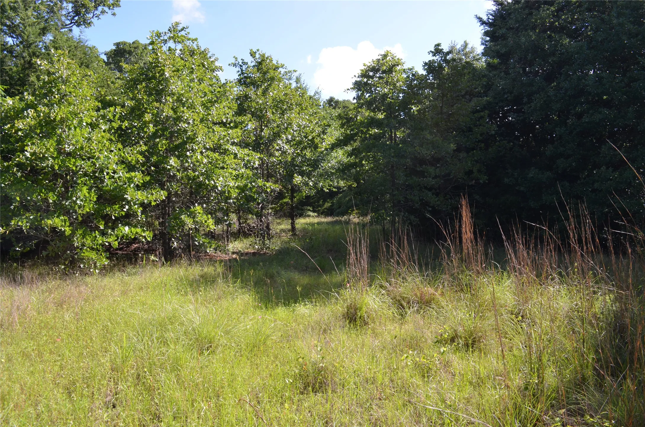 Unimproved Land For Sale in Van Zandt County , 760 VZ County Road 2315, Eustace, Texas 75124, 0, 0, Garage spaces, 0 Sqft, built in 0, mls#20878384, Real Estate Agent in Eustace, Homes For Sale in Van Zandt county, Homes For Sale in Eustace, Realtor in Eustace Texas, Real Estate Brokerage Independent Realty Texas, Luminita Cordes Realtor