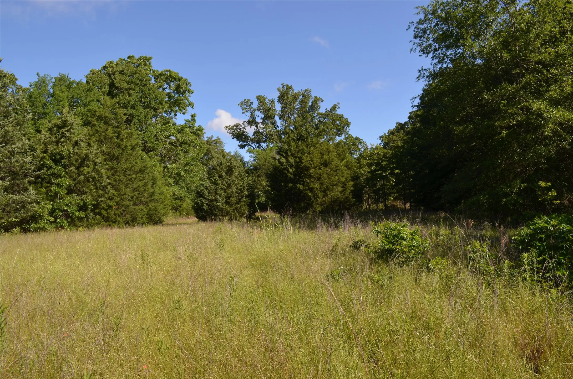 Unimproved Land For Sale in Van Zandt County , 760 VZ County Road 2315, Eustace, Texas 75124, 0, 0, Garage spaces, 0 Sqft, built in 0, mls#20878384, Real Estate Agent in Eustace, Homes For Sale in Van Zandt county, Homes For Sale in Eustace, Realtor in Eustace Texas, Real Estate Brokerage Independent Realty Texas, Luminita Cordes Realtor