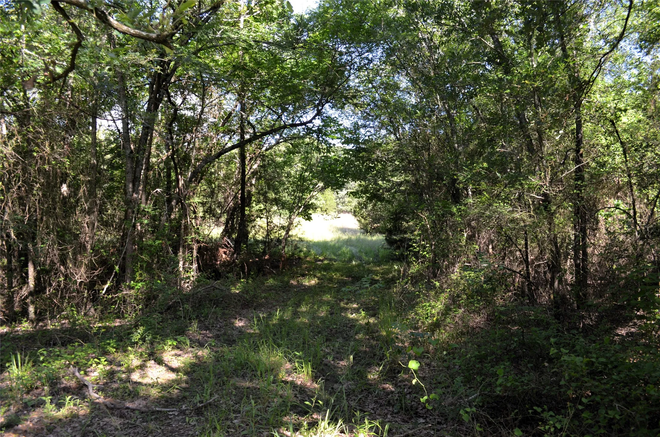 Unimproved Land For Sale in Van Zandt County , 760 VZ County Road 2315, Eustace, Texas 75124, 0, 0, Garage spaces, 0 Sqft, built in 0, mls#20878384, Real Estate Agent in Eustace, Homes For Sale in Van Zandt county, Homes For Sale in Eustace, Realtor in Eustace Texas, Real Estate Brokerage Independent Realty Texas, Luminita Cordes Realtor