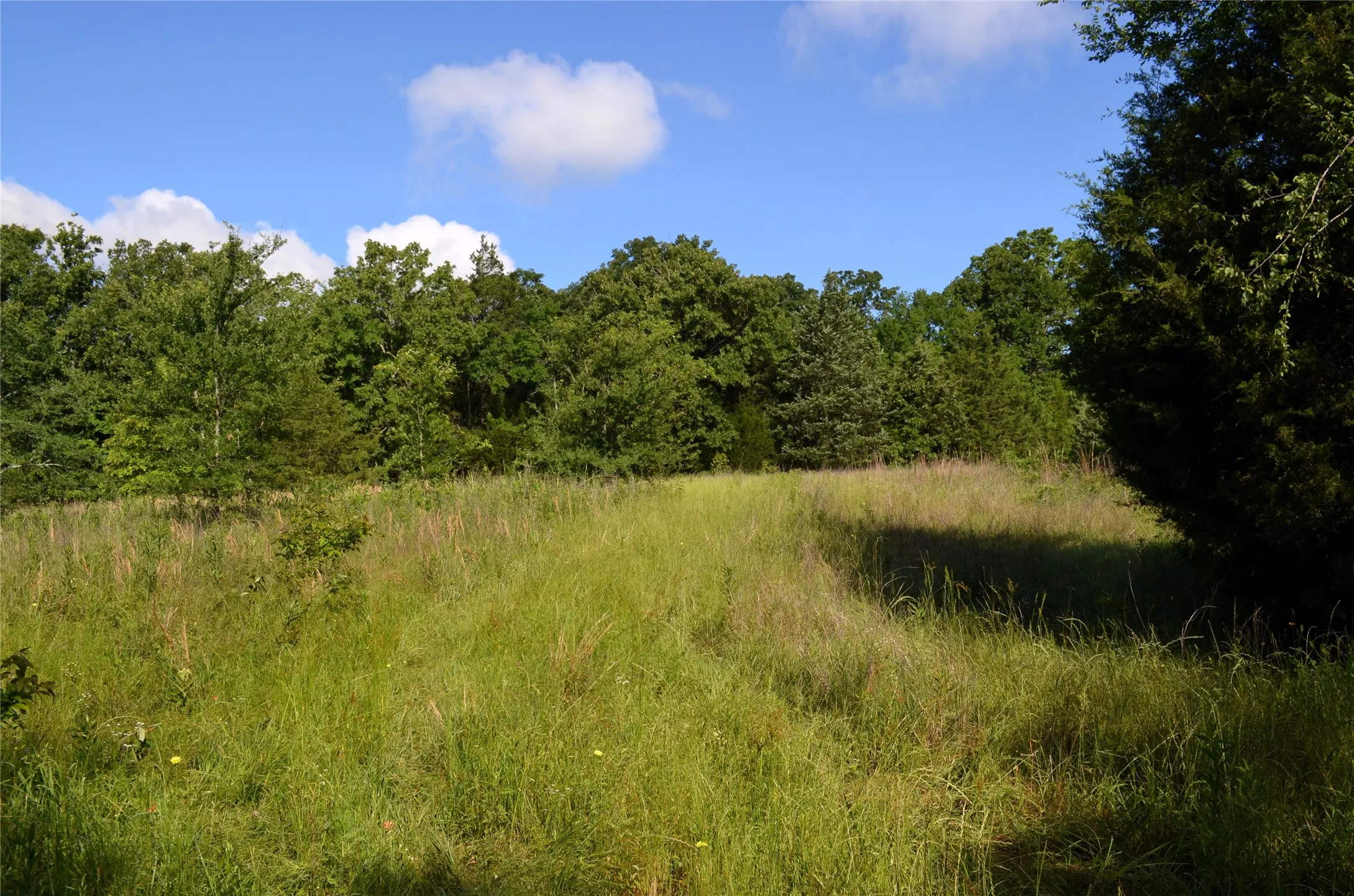 Unimproved Land For Sale in Van Zandt County , 760 VZ County Road 2315, Eustace, Texas 75124, 0, 0, Garage spaces, 0 Sqft, built in 0, mls#20878384, Real Estate Agent in Eustace, Homes For Sale in Van Zandt county, Homes For Sale in Eustace, Realtor in Eustace Texas, Real Estate Brokerage Independent Realty Texas, Luminita Cordes Realtor