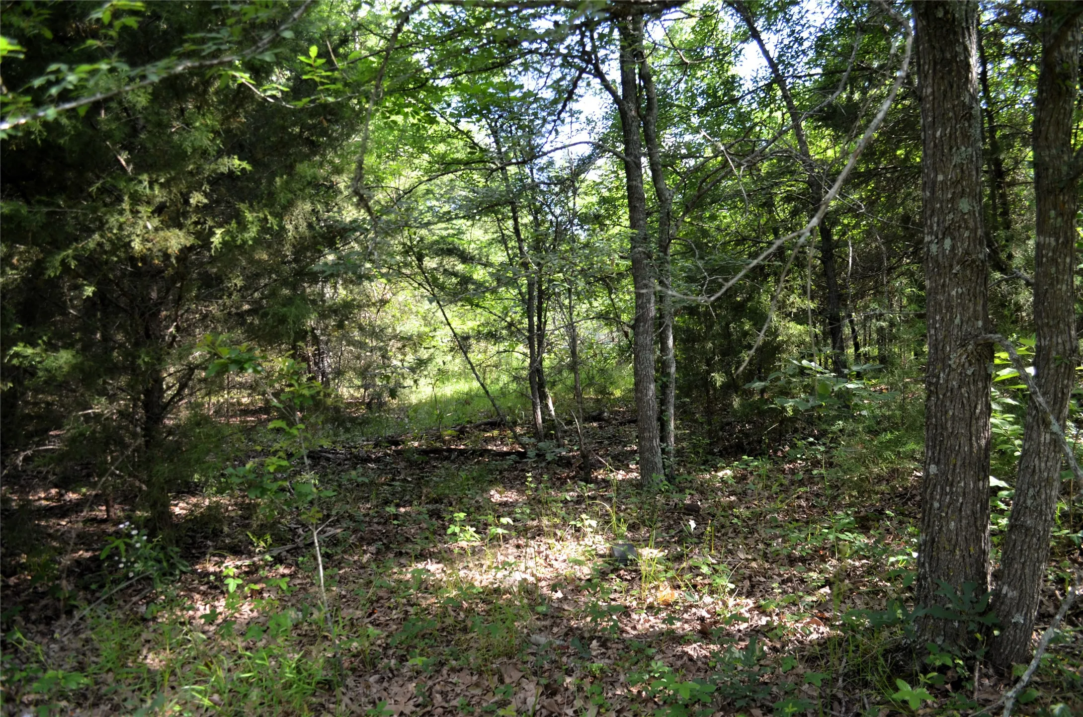 Unimproved Land For Sale in Van Zandt County , 760 VZ County Road 2315, Eustace, Texas 75124, 0, 0, Garage spaces, 0 Sqft, built in 0, mls#20878384, Real Estate Agent in Eustace, Homes For Sale in Van Zandt county, Homes For Sale in Eustace, Realtor in Eustace Texas, Real Estate Brokerage Independent Realty Texas, Luminita Cordes Realtor