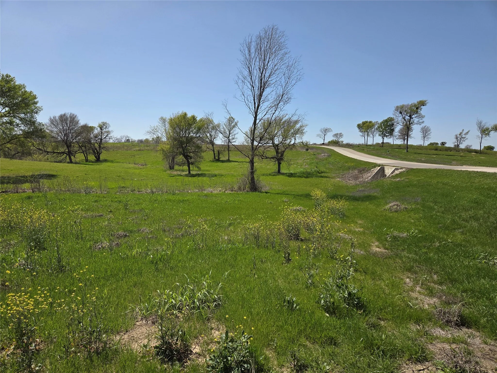 Unimproved Land For Sale in Navarro County , Lot 13 & 14 Barefoot Bay Boulevard, Corsicana, Texas 75109, 0, 0, Garage spaces, 0 Sqft, built in 0, Price $275,000, mls#20878300, Real Estate Agent in Corsicana, Homes For Sale in Navarro county, Homes For Sale in Corsicana, Realtor in Corsicana Texas, Real Estate Brokerage Independent Realty Texas, Luminita Cordes Realtor