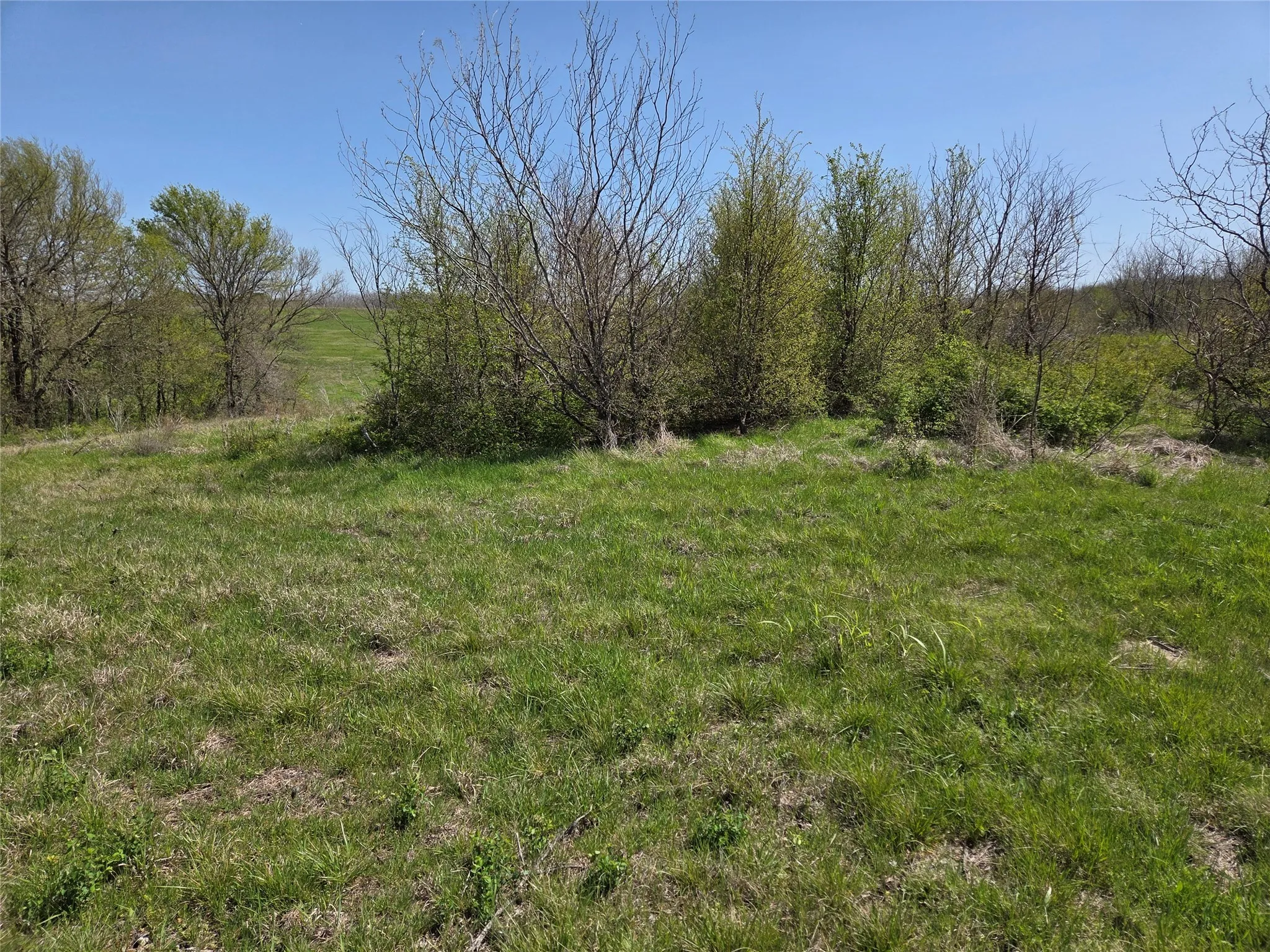 Unimproved Land For Sale in Navarro County , Lot 13 & 14 Barefoot Bay Boulevard, Corsicana, Texas 75109, 0, 0, Garage spaces, 0 Sqft, built in 0, Price $275,000, mls#20878300, Real Estate Agent in Corsicana, Homes For Sale in Navarro county, Homes For Sale in Corsicana, Realtor in Corsicana Texas, Real Estate Brokerage Independent Realty Texas, Luminita Cordes Realtor