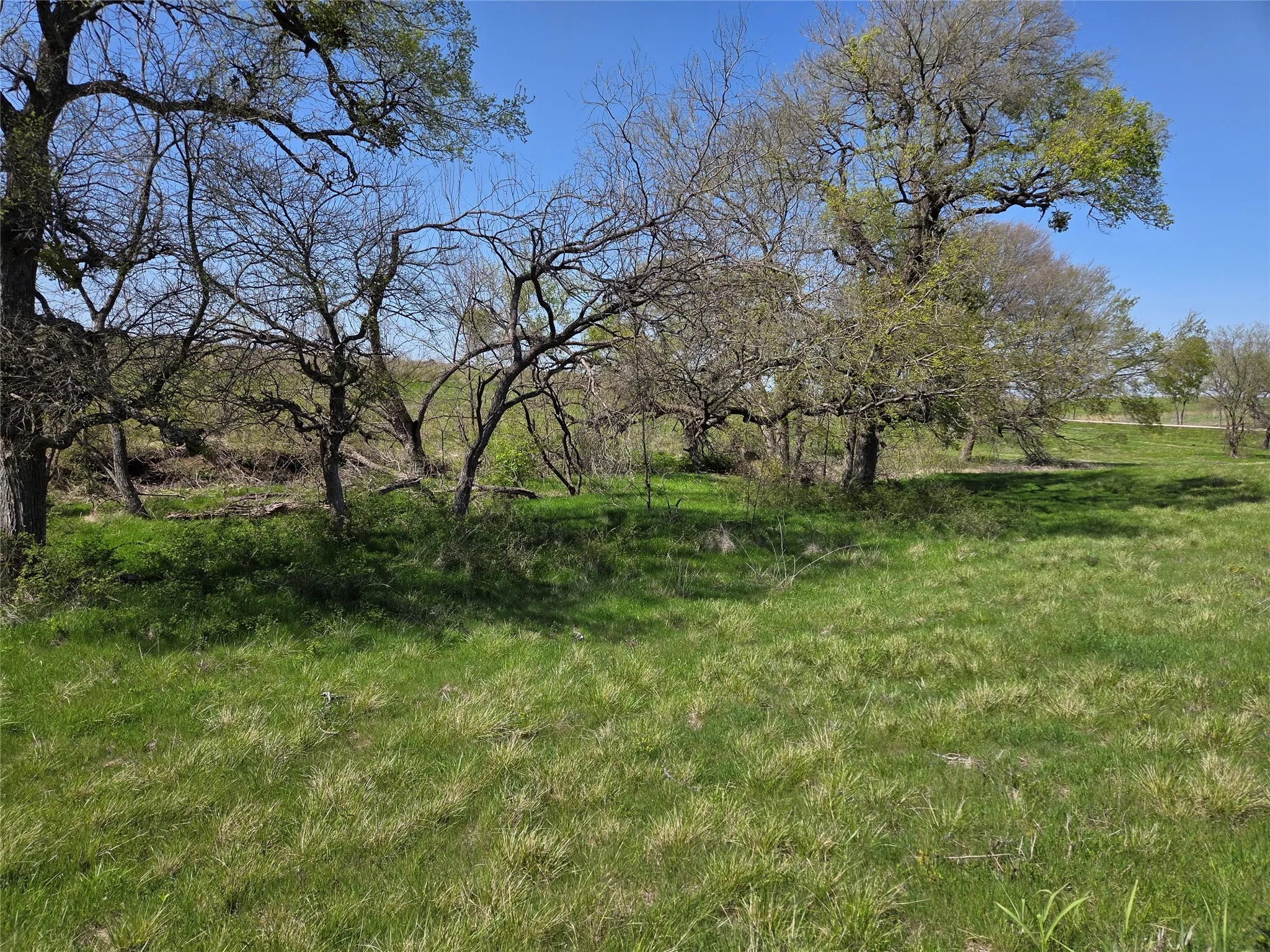 Unimproved Land For Sale in Navarro County , Lot 13 & 14 Barefoot Bay Boulevard, Corsicana, Texas 75109, 0, 0, Garage spaces, 0 Sqft, built in 0, Price $275,000, mls#20878300, Real Estate Agent in Corsicana, Homes For Sale in Navarro county, Homes For Sale in Corsicana, Realtor in Corsicana Texas, Real Estate Brokerage Independent Realty Texas, Luminita Cordes Realtor