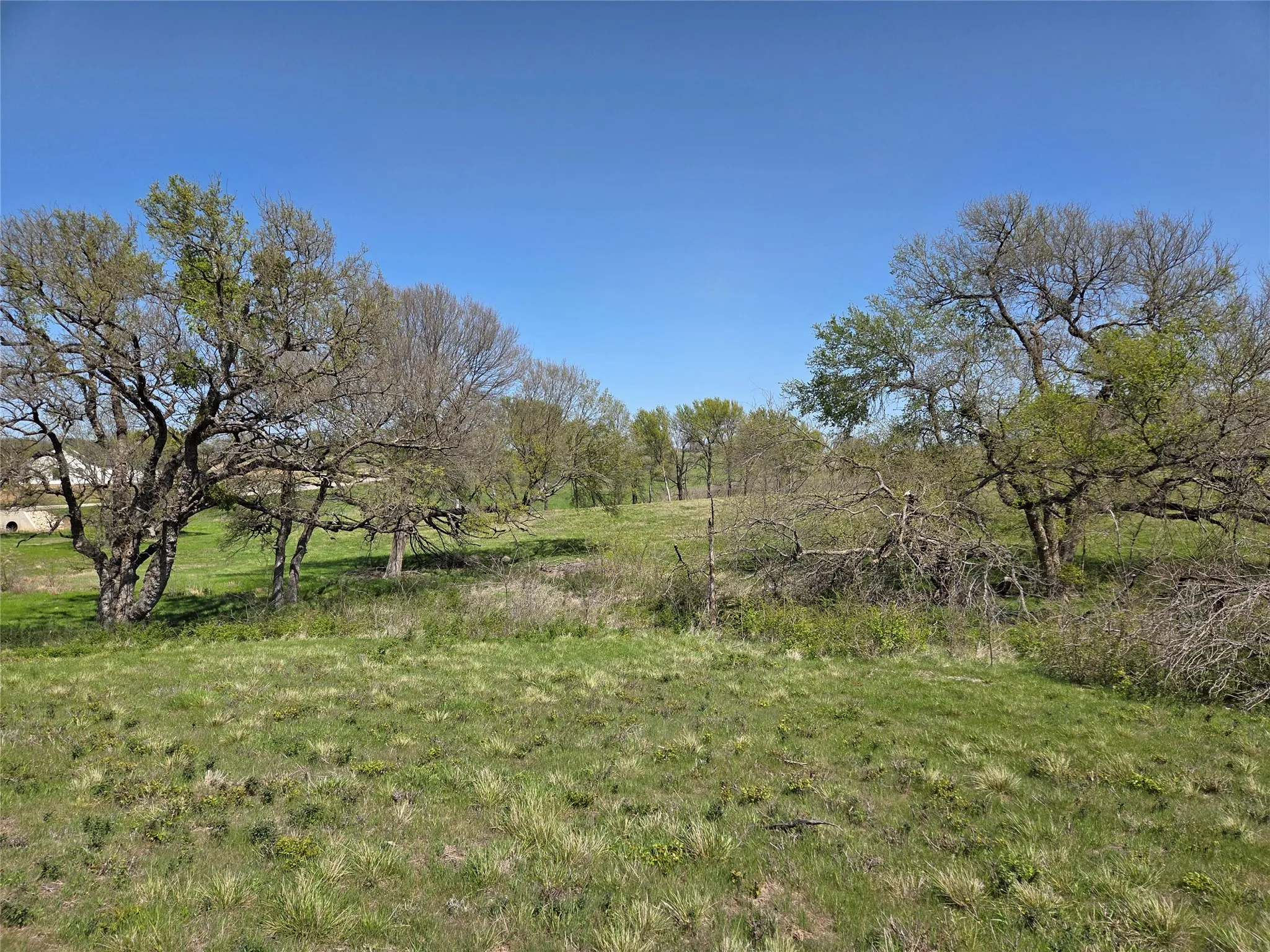 Unimproved Land For Sale in Navarro County , Lot 13 & 14 Barefoot Bay Boulevard, Corsicana, Texas 75109, 0, 0, Garage spaces, 0 Sqft, built in 0, Price $275,000, mls#20878300, Real Estate Agent in Corsicana, Homes For Sale in Navarro county, Homes For Sale in Corsicana, Realtor in Corsicana Texas, Real Estate Brokerage Independent Realty Texas, Luminita Cordes Realtor