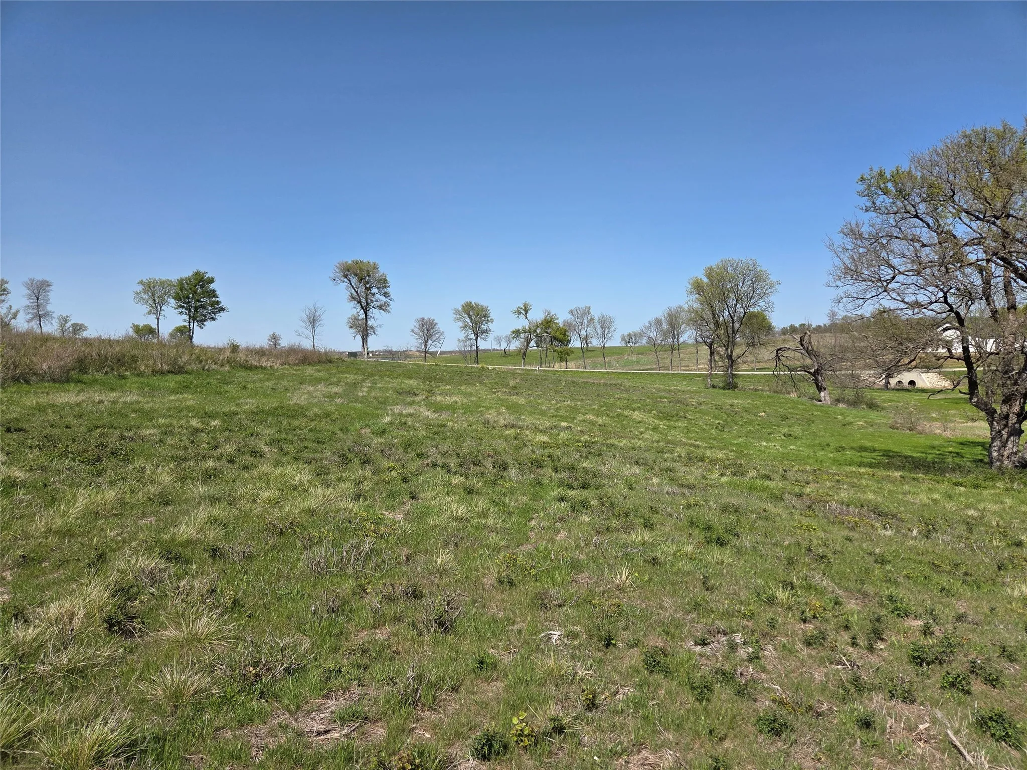 Unimproved Land For Sale in Navarro County , Lot 13 & 14 Barefoot Bay Boulevard, Corsicana, Texas 75109, 0, 0, Garage spaces, 0 Sqft, built in 0, Price $275,000, mls#20878300, Real Estate Agent in Corsicana, Homes For Sale in Navarro county, Homes For Sale in Corsicana, Realtor in Corsicana Texas, Real Estate Brokerage Independent Realty Texas, Luminita Cordes Realtor
