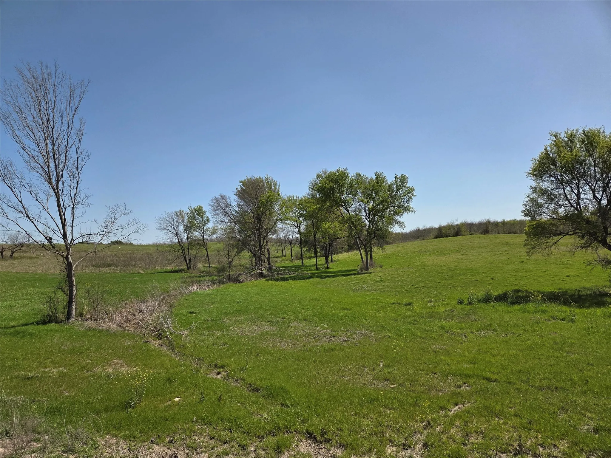 Unimproved Land For Sale in Navarro County , Lot 13 & 14 Barefoot Bay Boulevard, Corsicana, Texas 75109, 0, 0, Garage spaces, 0 Sqft, built in 0, Price $275,000, mls#20878300, Real Estate Agent in Corsicana, Homes For Sale in Navarro county, Homes For Sale in Corsicana, Realtor in Corsicana Texas, Real Estate Brokerage Independent Realty Texas, Luminita Cordes Realtor