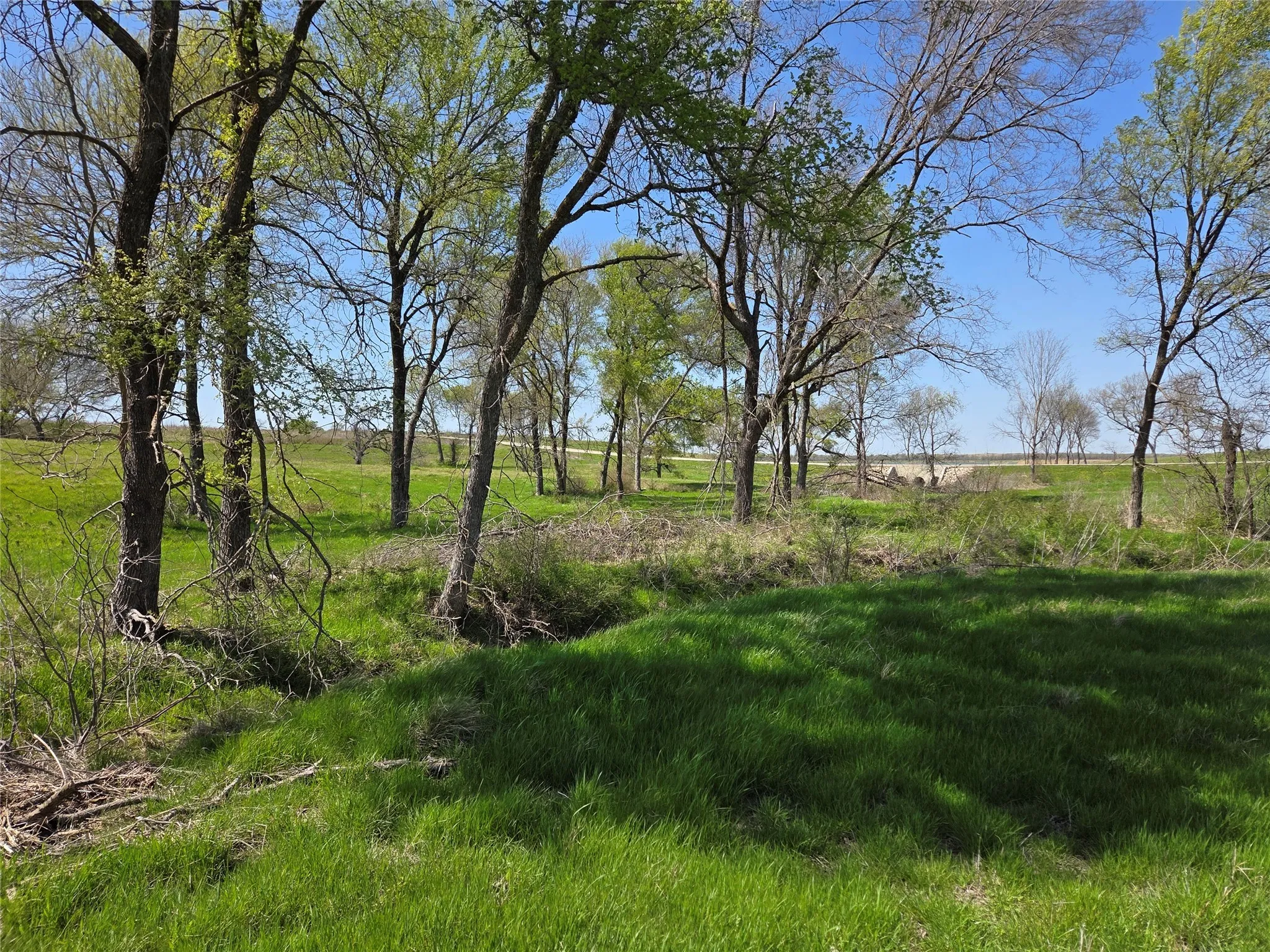 Unimproved Land For Sale in Navarro County , Lot 13 & 14 Barefoot Bay Boulevard, Corsicana, Texas 75109, 0, 0, Garage spaces, 0 Sqft, built in 0, Price $275,000, mls#20878300, Real Estate Agent in Corsicana, Homes For Sale in Navarro county, Homes For Sale in Corsicana, Realtor in Corsicana Texas, Real Estate Brokerage Independent Realty Texas, Luminita Cordes Realtor
