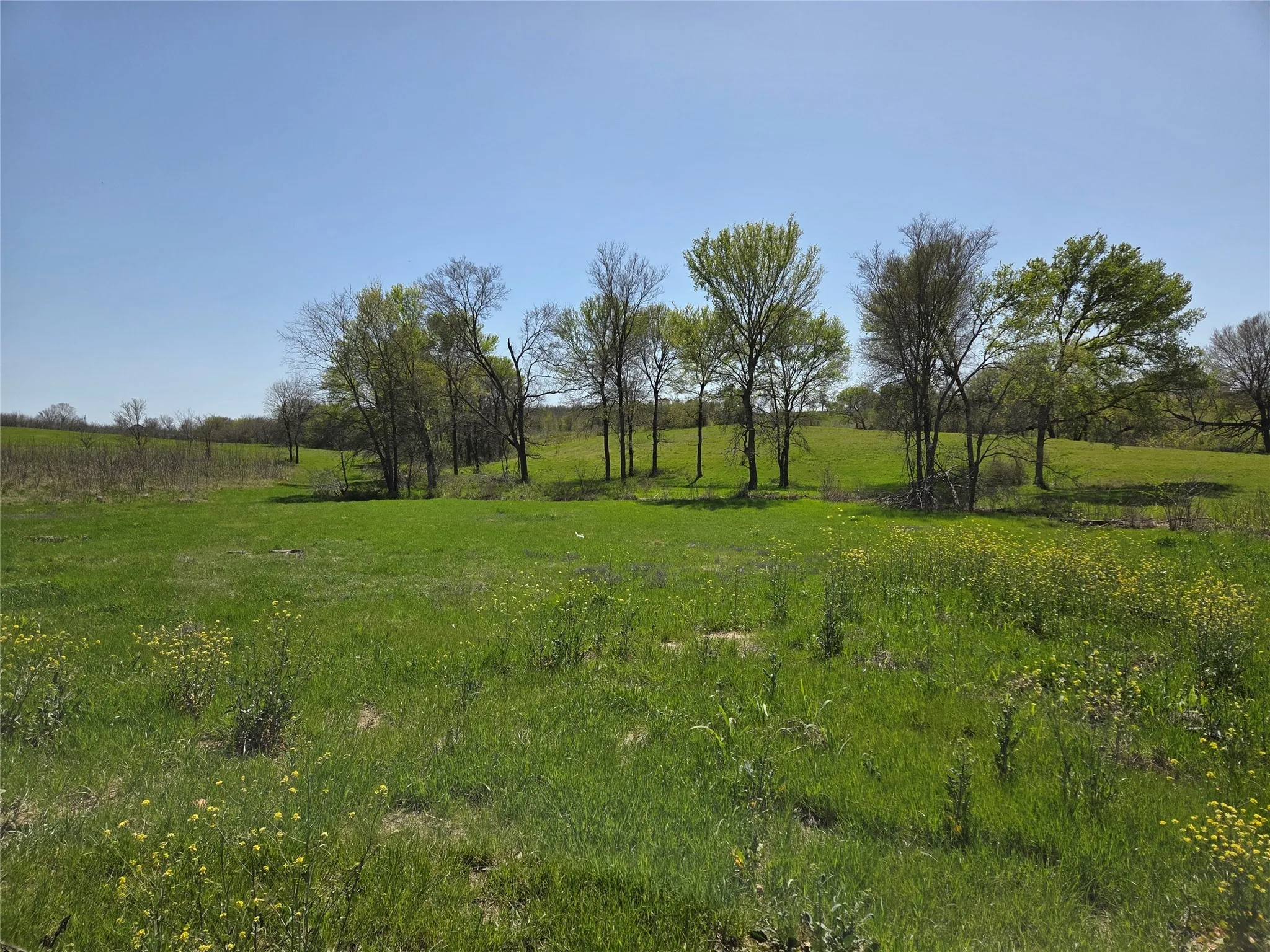 Unimproved Land For Sale in Navarro County , Lot 13 & 14 Barefoot Bay Boulevard, Corsicana, Texas 75109, 0, 0, Garage spaces, 0 Sqft, built in 0, Price $275,000, mls#20878300, Real Estate Agent in Corsicana, Homes For Sale in Navarro county, Homes For Sale in Corsicana, Realtor in Corsicana Texas, Real Estate Brokerage Independent Realty Texas, Luminita Cordes Realtor