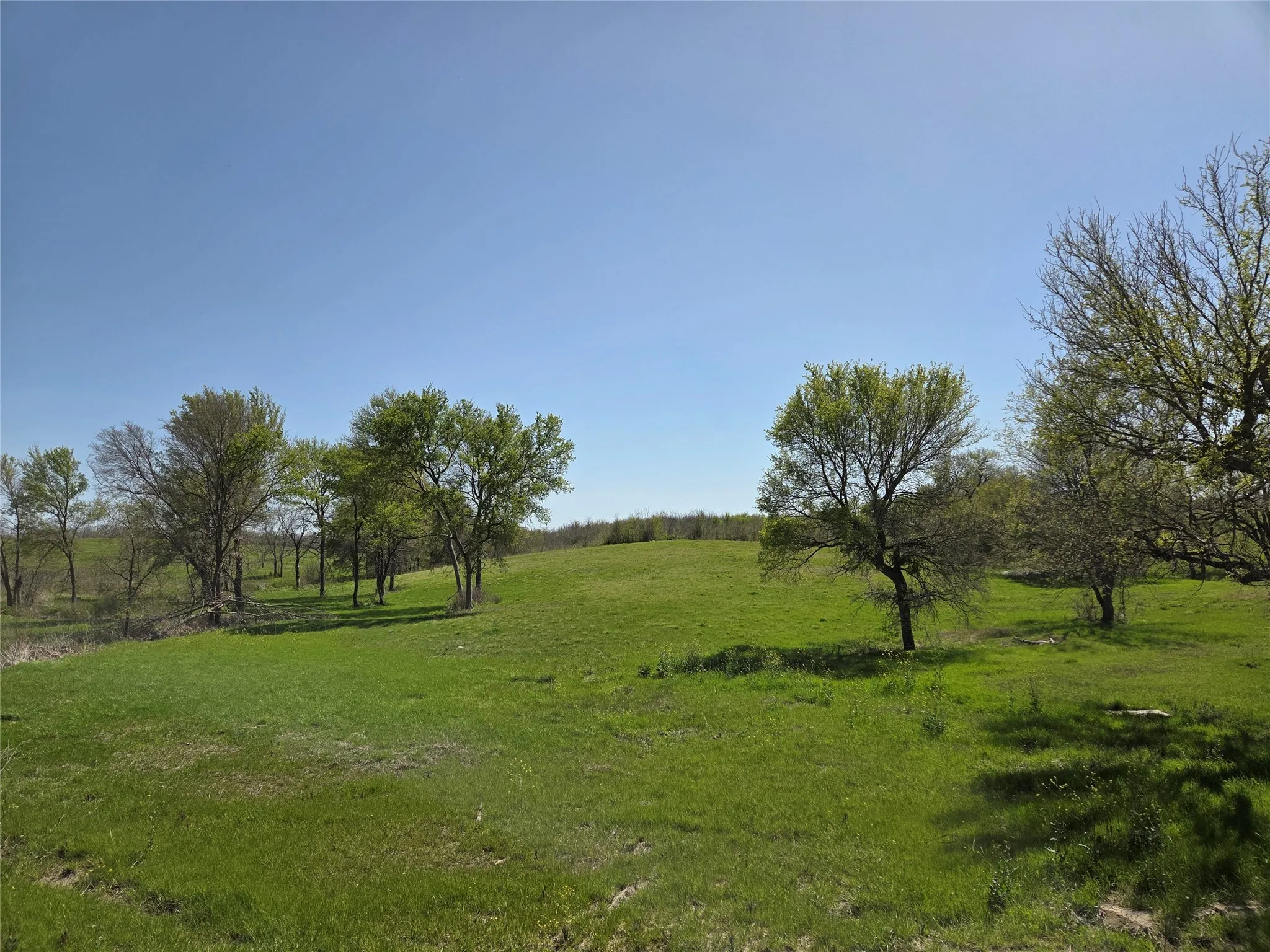 Unimproved Land For Sale in Navarro County , Lot 13 & 14 Barefoot Bay Boulevard, Corsicana, Texas 75109, 0, 0, Garage spaces, 0 Sqft, built in 0, Price $275,000, mls#20878300, Real Estate Agent in Corsicana, Homes For Sale in Navarro county, Homes For Sale in Corsicana, Realtor in Corsicana Texas, Real Estate Brokerage Independent Realty Texas, Luminita Cordes Realtor