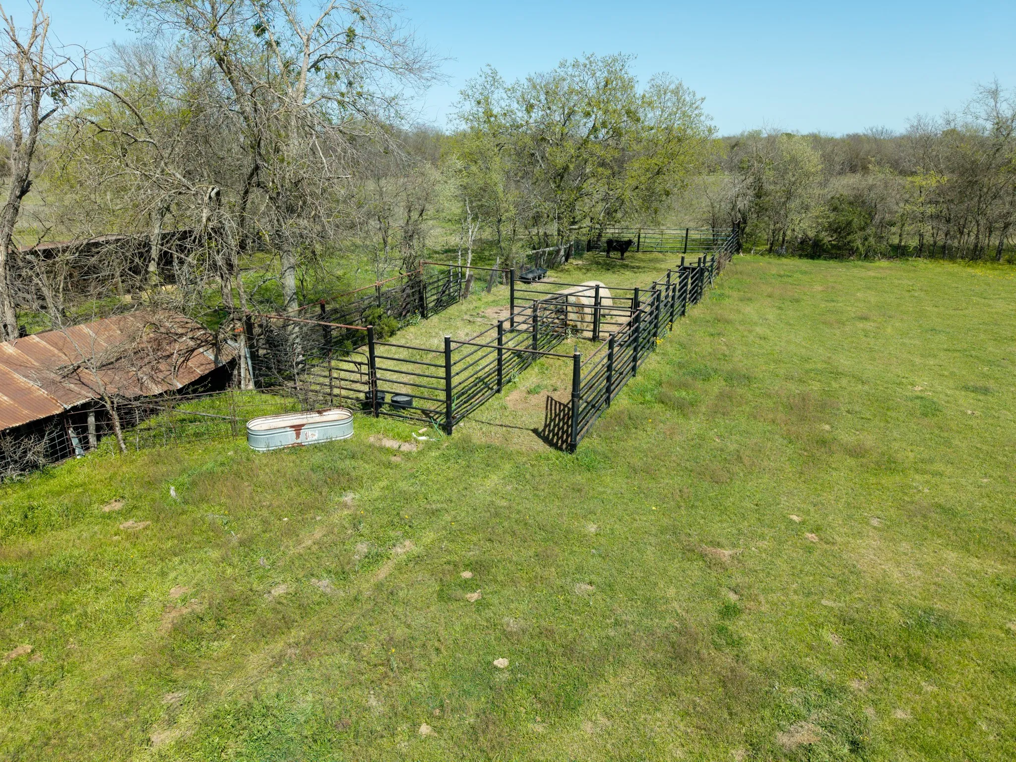 Single Family Residence For Sale in Limestone County , 141 Lcr 405, Mexia, Texas 76667, 3 Bedroom, 2 Bathroom, 2 Garage spaces, 2,841 Sqft, built in 1982, mls#20877532, Real Estate Agent in Mexia, Homes For Sale in Limestone county, Homes For Sale in Mexia, Realtor in Mexia Texas, Real Estate Brokerage Independent Realty Texas, Luminita Cordes Realtor