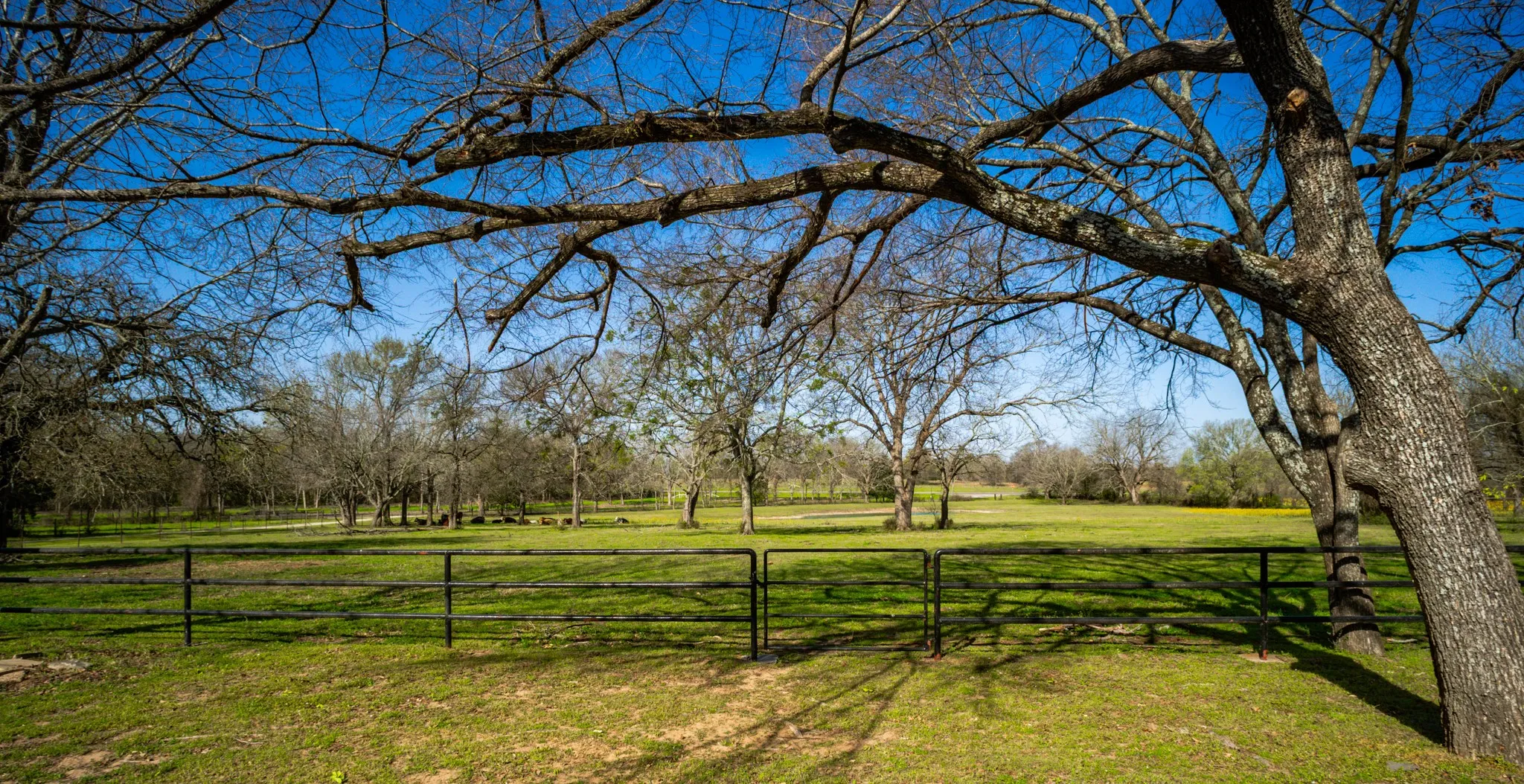 Single Family Residence For Sale in Limestone County , 141 Lcr 405, Mexia, Texas 76667, 3 Bedroom, 2 Bathroom, 2 Garage spaces, 2,841 Sqft, built in 1982, mls#20877532, Real Estate Agent in Mexia, Homes For Sale in Limestone county, Homes For Sale in Mexia, Realtor in Mexia Texas, Real Estate Brokerage Independent Realty Texas, Luminita Cordes Realtor