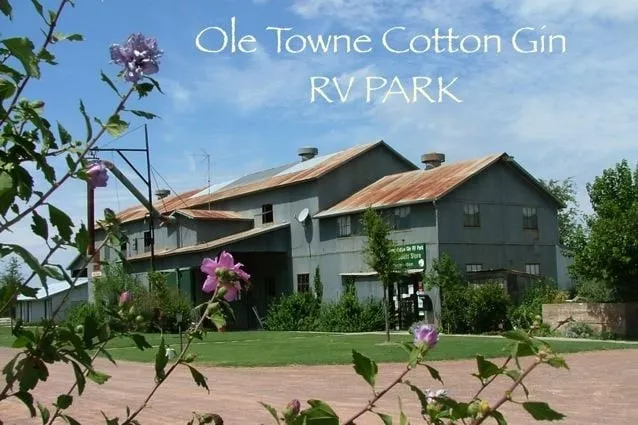 Business For Sale in Hardeman County , 230 Market Street, Quanah, Texas 79252, 0, 0, Garage spaces, 0 Sqft, built in 1990, Preowned, mls#20878296, Real Estate Agent in Quanah, Homes For Sale in Hardeman county, Homes For Sale in Quanah, Realtor in Quanah Texas, Real Estate Brokerage Independent Realty Texas, Luminita Cordes Realtor
