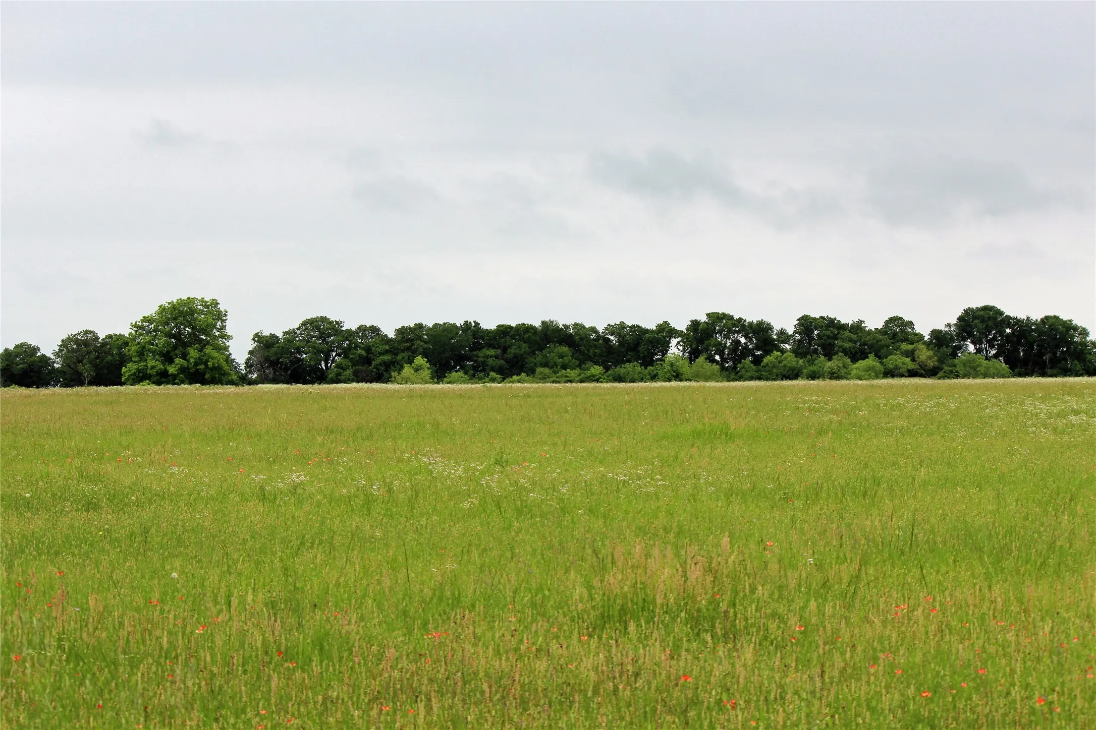 Unimproved Land For Sale in Johnson County , TBD County Road 1242, Cleburne, Texas 76033, 0, 0, Garage spaces, 0 Sqft, built in 0, Price $667,800, mls#20876909, Real Estate Agent in Cleburne, Homes For Sale in Johnson county, Homes For Sale in Cleburne, Realtor in Cleburne Texas, Real Estate Brokerage Independent Realty Texas, Luminita Cordes Realtor
