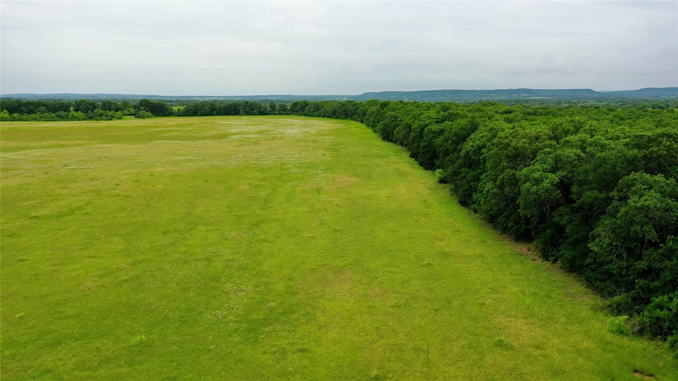 Unimproved Land For Sale in Johnson County , TBD County Road 1242, Cleburne, Texas 76033, 0, 0, Garage spaces, 0 Sqft, built in 0, Price $667,800, mls#20876909, Real Estate Agent in Cleburne, Homes For Sale in Johnson county, Homes For Sale in Cleburne, Realtor in Cleburne Texas, Real Estate Brokerage Independent Realty Texas, Luminita Cordes Realtor