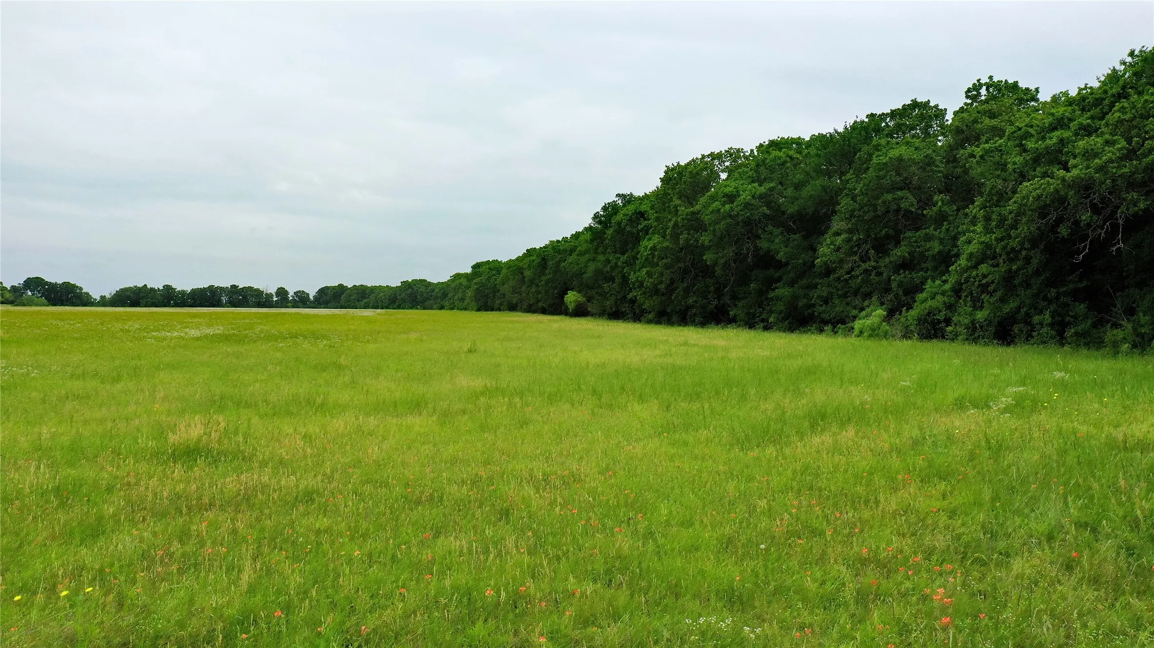 Unimproved Land For Sale in Johnson County , TBD County Road 1242, Cleburne, Texas 76033, 0, 0, Garage spaces, 0 Sqft, built in 0, Price $667,800, mls#20876909, Real Estate Agent in Cleburne, Homes For Sale in Johnson county, Homes For Sale in Cleburne, Realtor in Cleburne Texas, Real Estate Brokerage Independent Realty Texas, Luminita Cordes Realtor