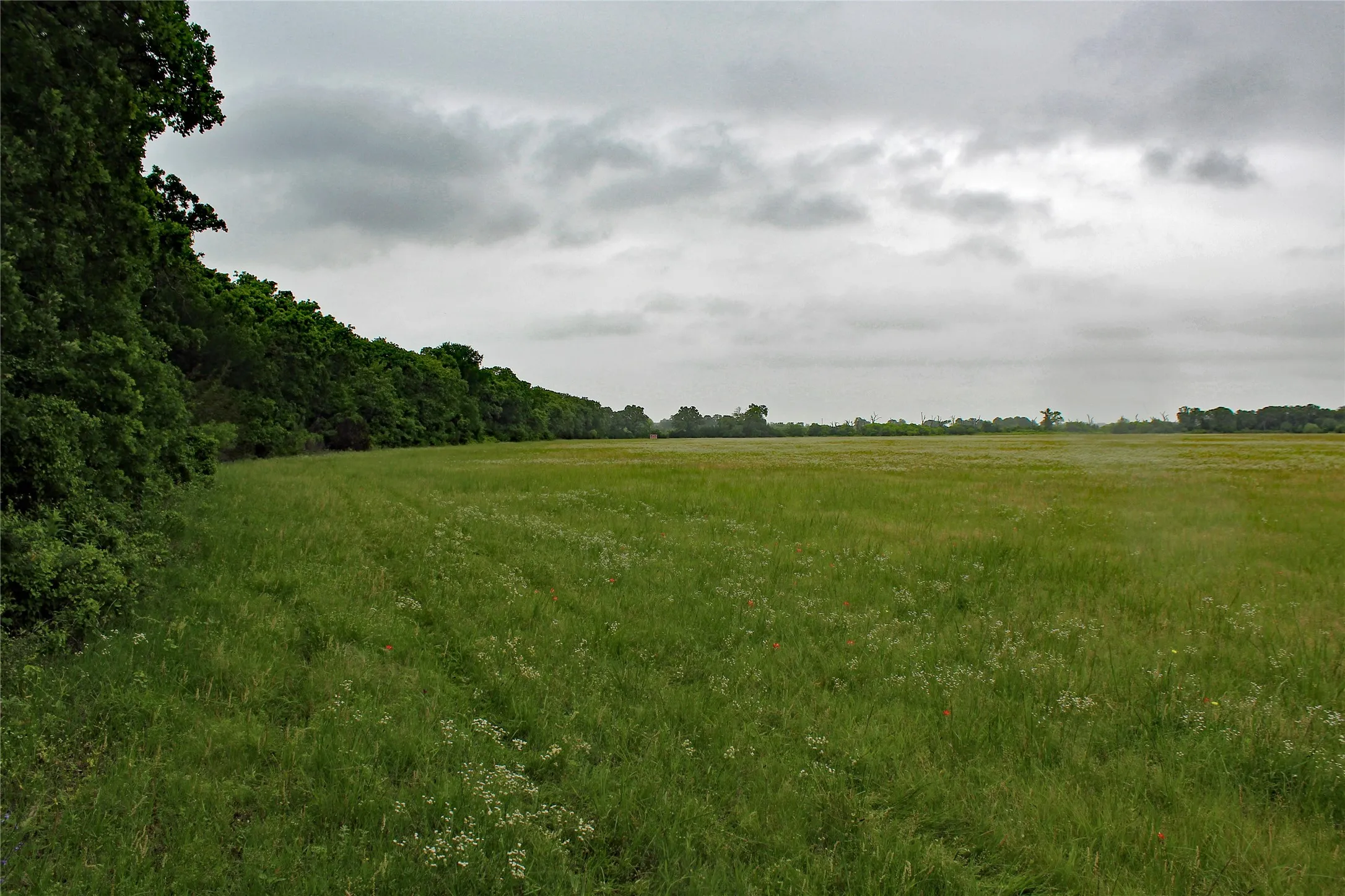 Unimproved Land For Sale in Johnson County , TBD County Road 1242, Cleburne, Texas 76033, 0, 0, Garage spaces, 0 Sqft, built in 0, Price $667,800, mls#20876909, Real Estate Agent in Cleburne, Homes For Sale in Johnson county, Homes For Sale in Cleburne, Realtor in Cleburne Texas, Real Estate Brokerage Independent Realty Texas, Luminita Cordes Realtor