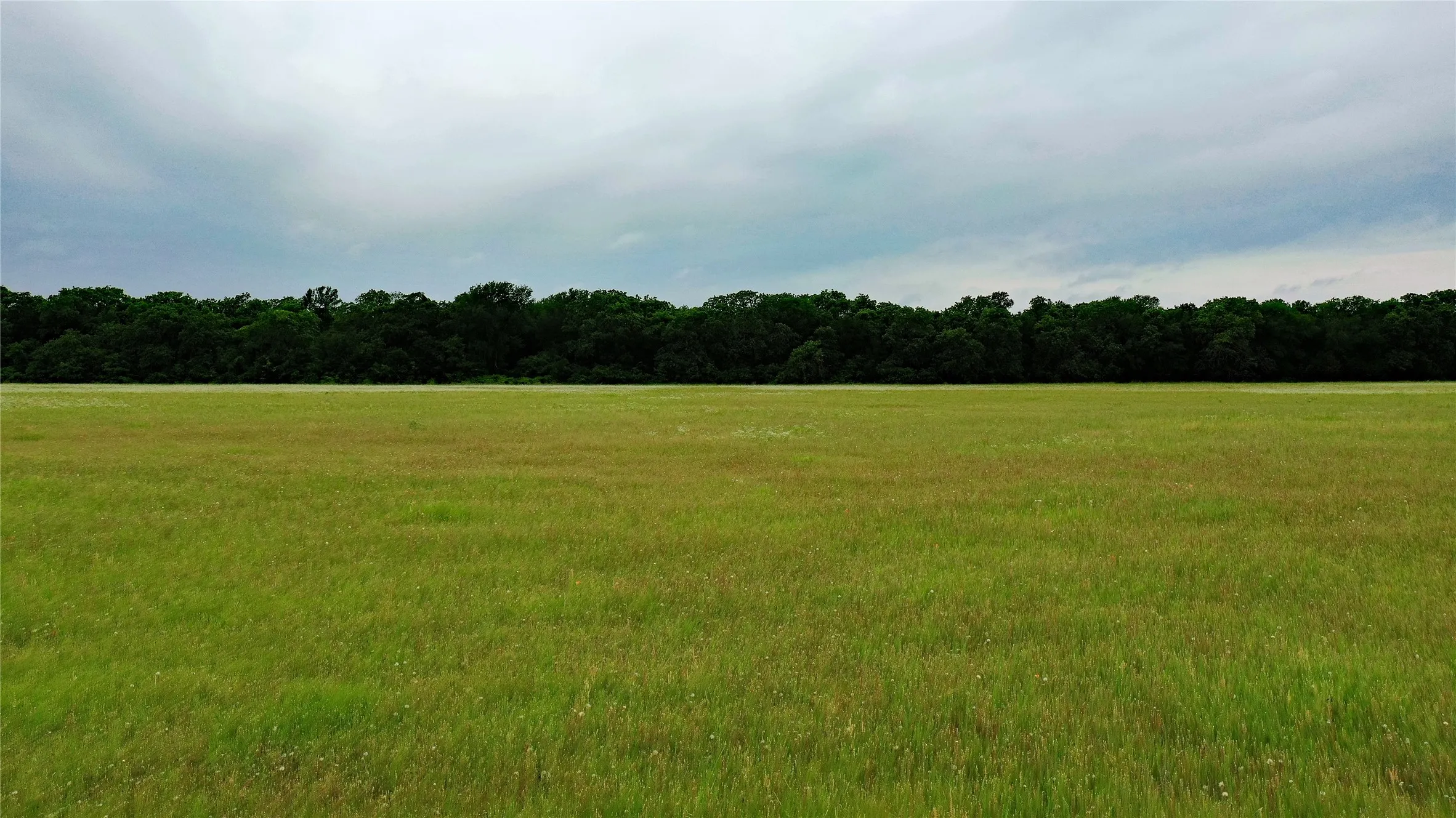 Unimproved Land For Sale in Johnson County , TBD County Road 1242, Cleburne, Texas 76033, 0, 0, Garage spaces, 0 Sqft, built in 0, Price $667,800, mls#20876909, Real Estate Agent in Cleburne, Homes For Sale in Johnson county, Homes For Sale in Cleburne, Realtor in Cleburne Texas, Real Estate Brokerage Independent Realty Texas, Luminita Cordes Realtor
