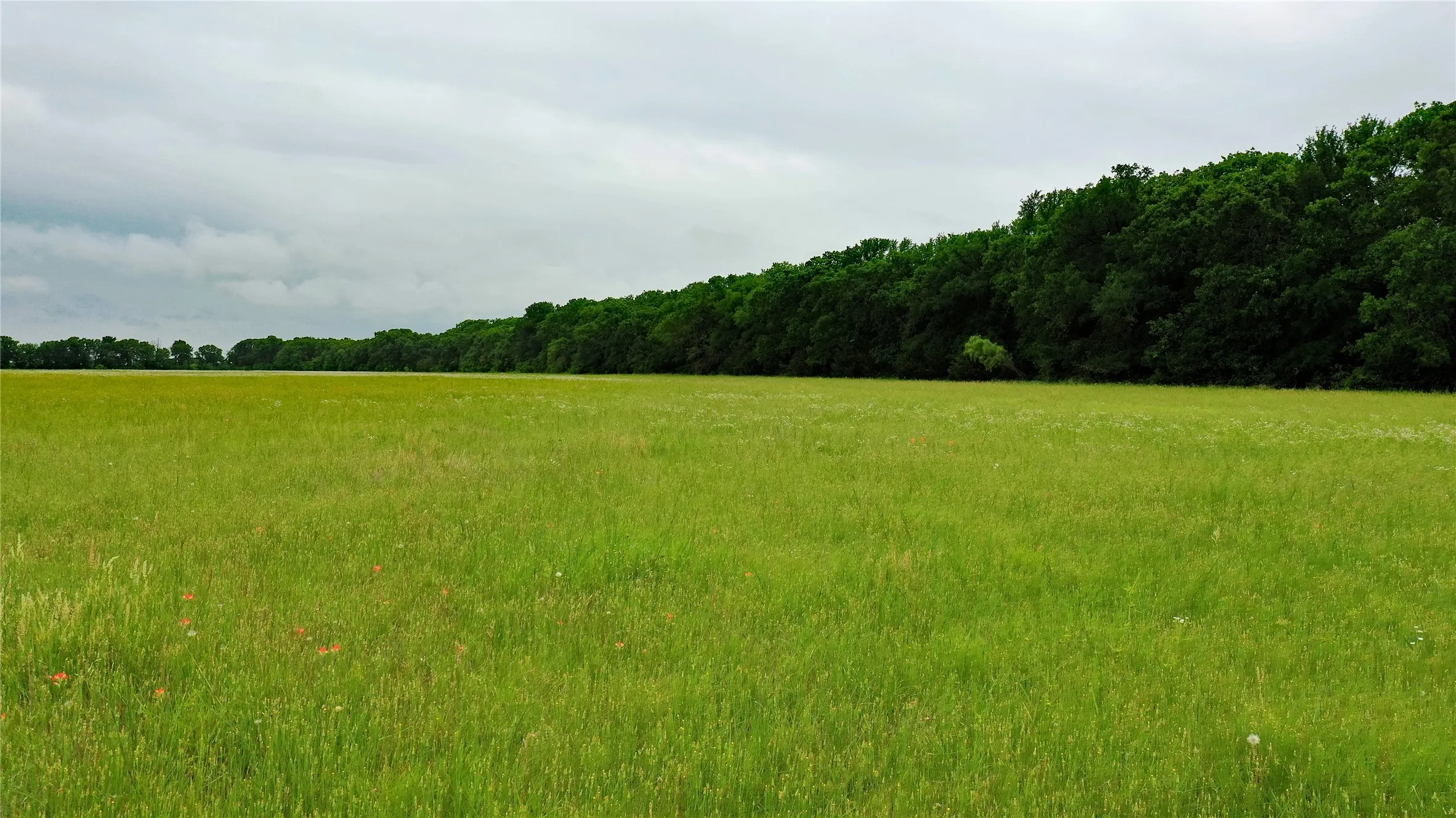Unimproved Land For Sale in Johnson County , TBD County Road 1242, Cleburne, Texas 76033, 0, 0, Garage spaces, 0 Sqft, built in 0, Price $667,800, mls#20876909, Real Estate Agent in Cleburne, Homes For Sale in Johnson county, Homes For Sale in Cleburne, Realtor in Cleburne Texas, Real Estate Brokerage Independent Realty Texas, Luminita Cordes Realtor