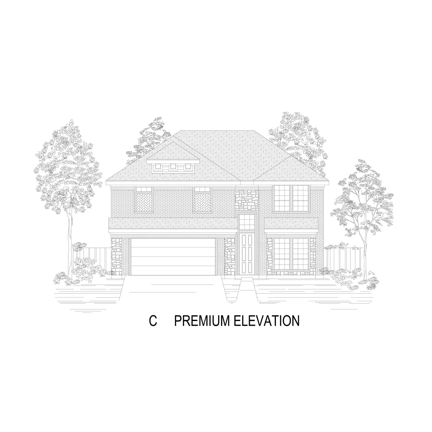 C Elevation