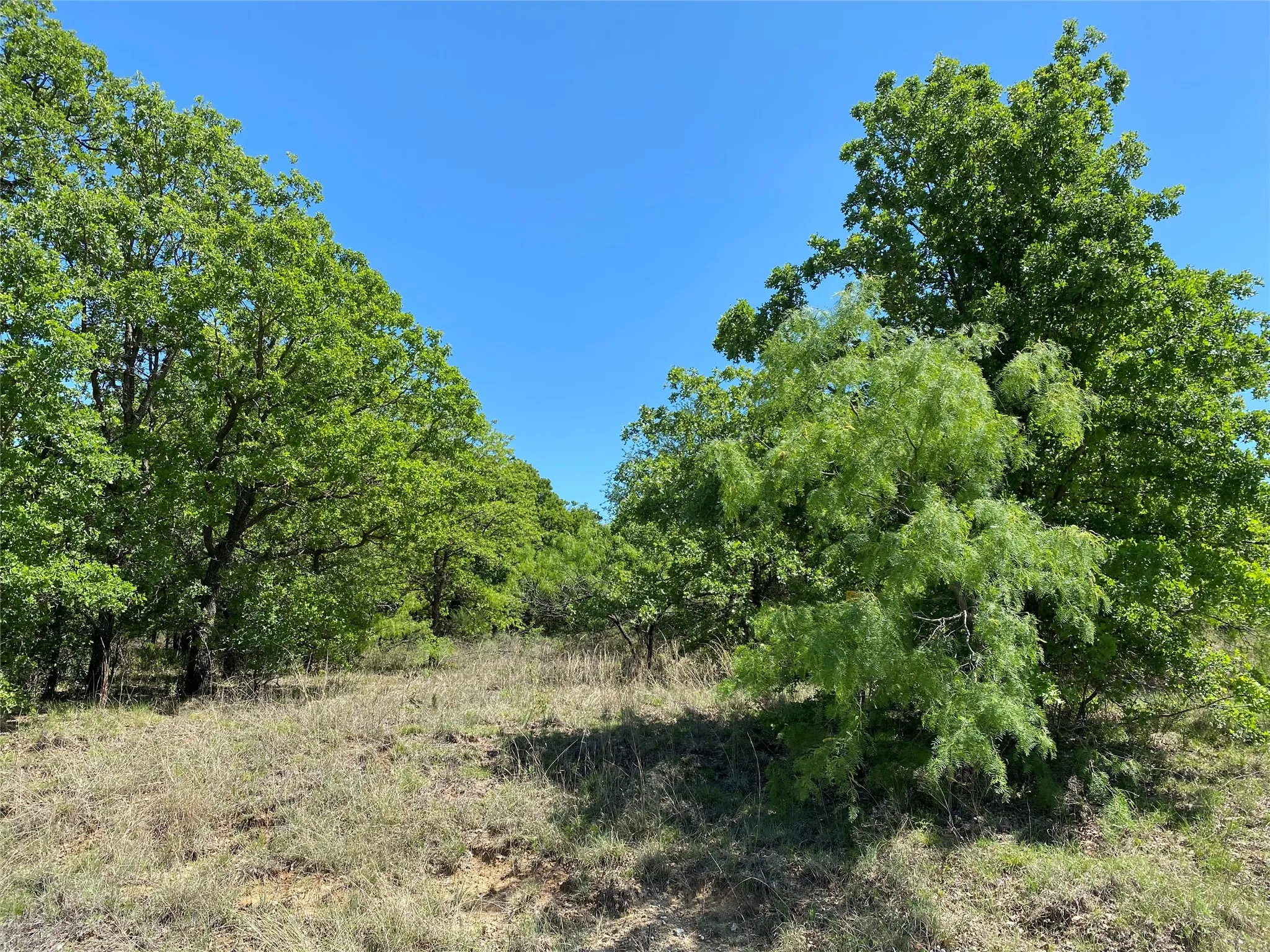 Unimproved Land For Sale in Wise County , TBD Miller Creek Lake Road, Paradise, Texas 76073, 0, 0, Garage spaces, 0 Sqft, built in 0, mls#20877045, Real Estate Agent in Paradise, Homes For Sale in Wise county, Homes For Sale in Paradise, Realtor in Paradise Texas, Real Estate Brokerage Independent Realty Texas, Luminita Cordes Realtor