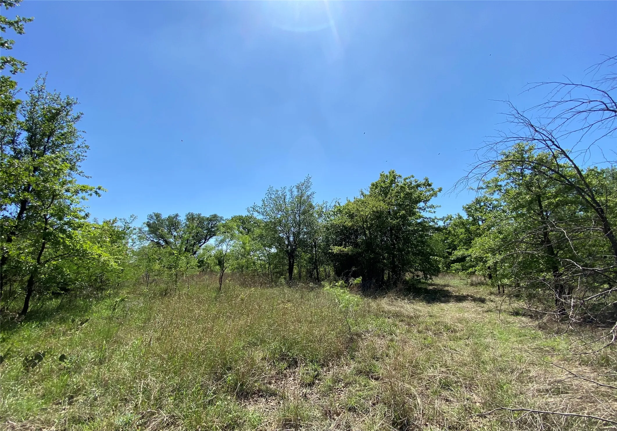 Unimproved Land For Sale in Wise County , TBD Miller Creek Lake Road, Paradise, Texas 76073, 0, 0, Garage spaces, 0 Sqft, built in 0, mls#20877045, Real Estate Agent in Paradise, Homes For Sale in Wise county, Homes For Sale in Paradise, Realtor in Paradise Texas, Real Estate Brokerage Independent Realty Texas, Luminita Cordes Realtor